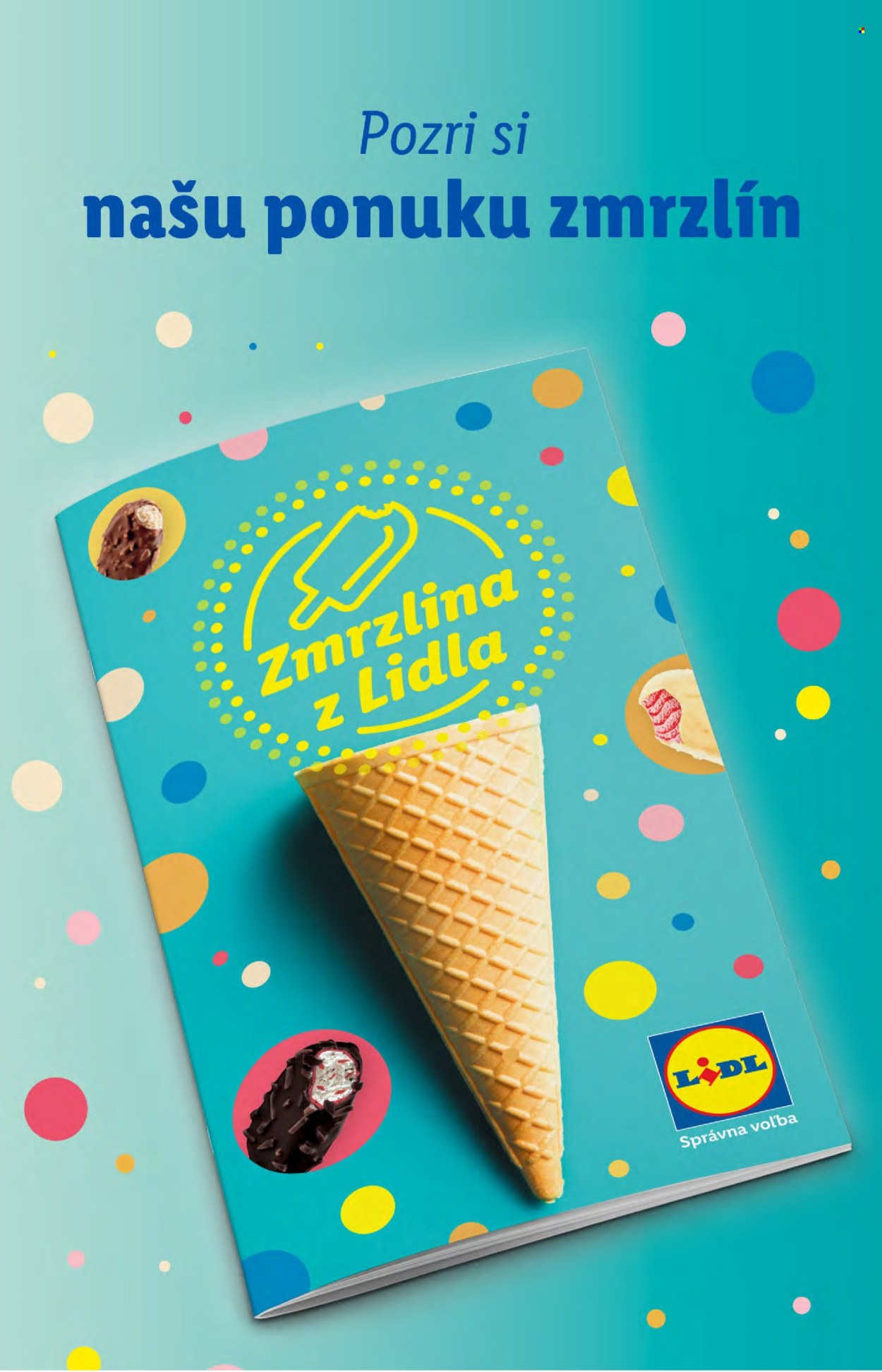 Leták Lidl - 10.6.2024 - 16.6.2024. Strana 17