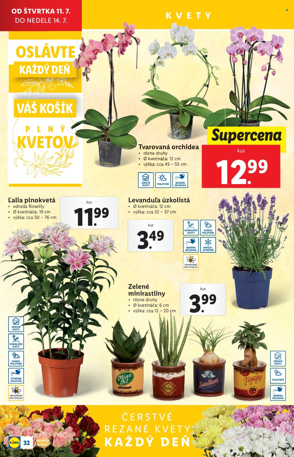 Leták Lidl - 11.7.2024 - 14.7.2024. Strana 36