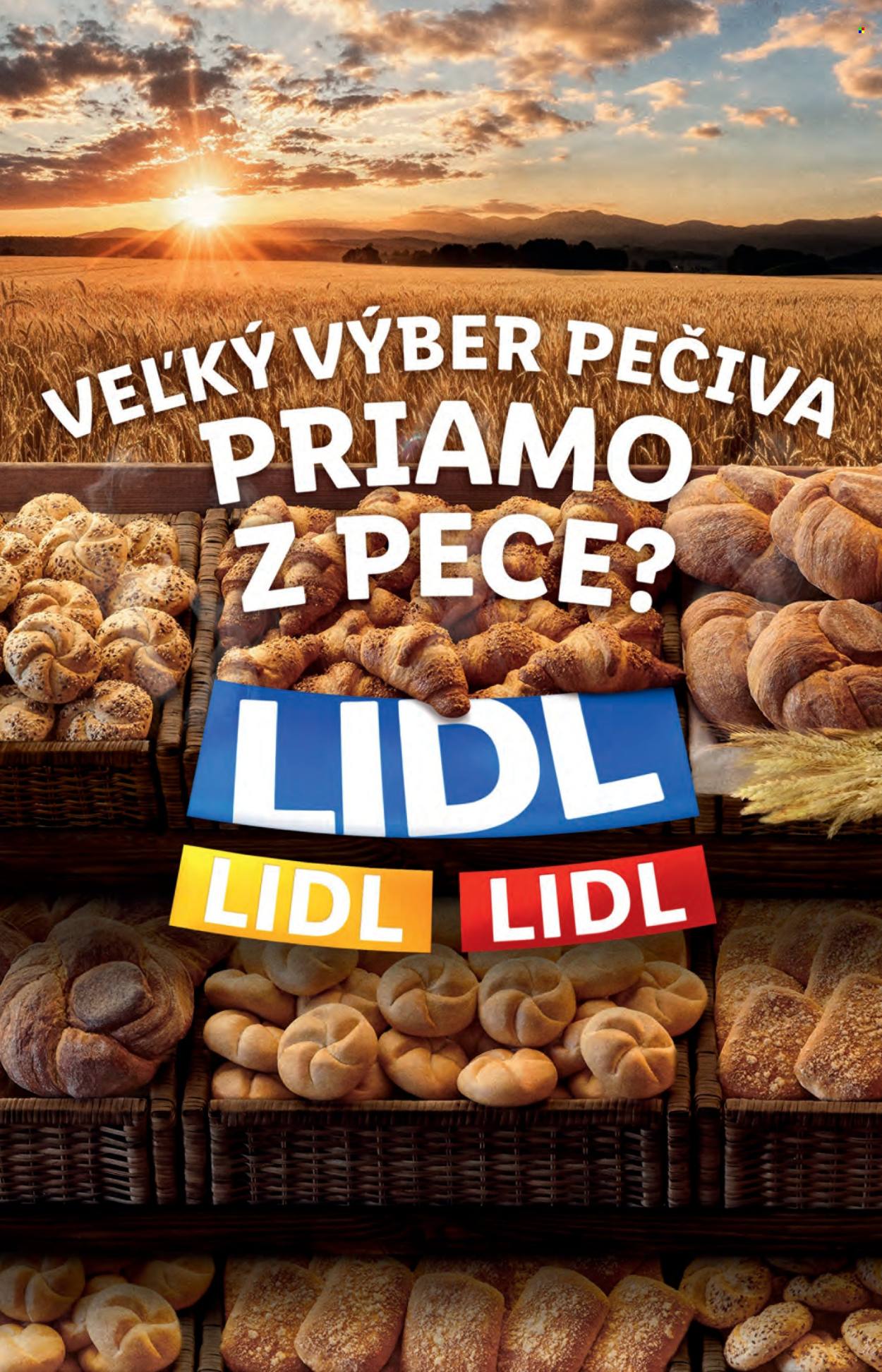 Leták Lidl - 15.7.2024 - 21.7.2024. Strana 13