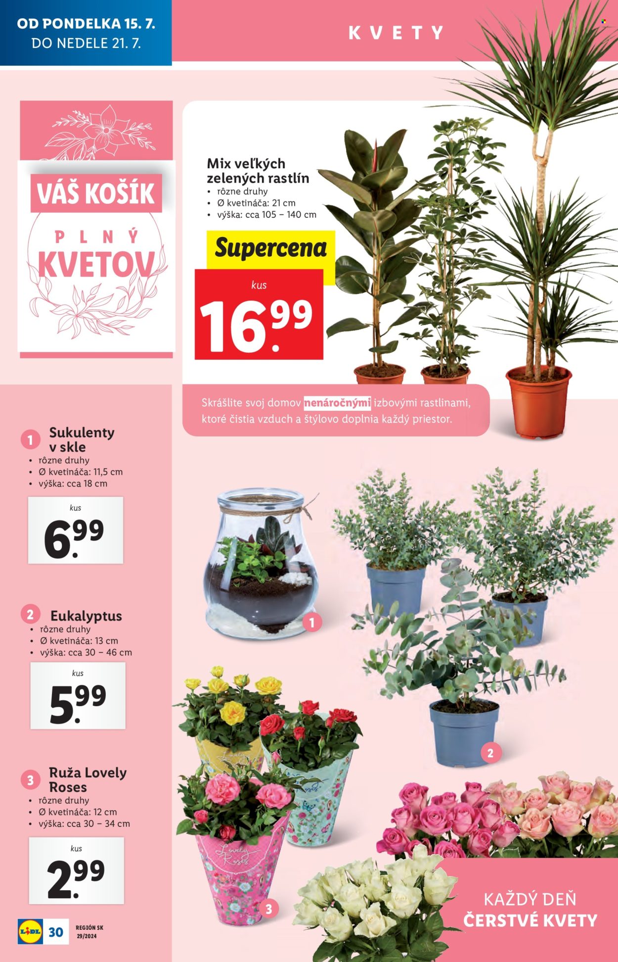 Leták Lidl - 15.7.2024 - 21.7.2024. Strana 30