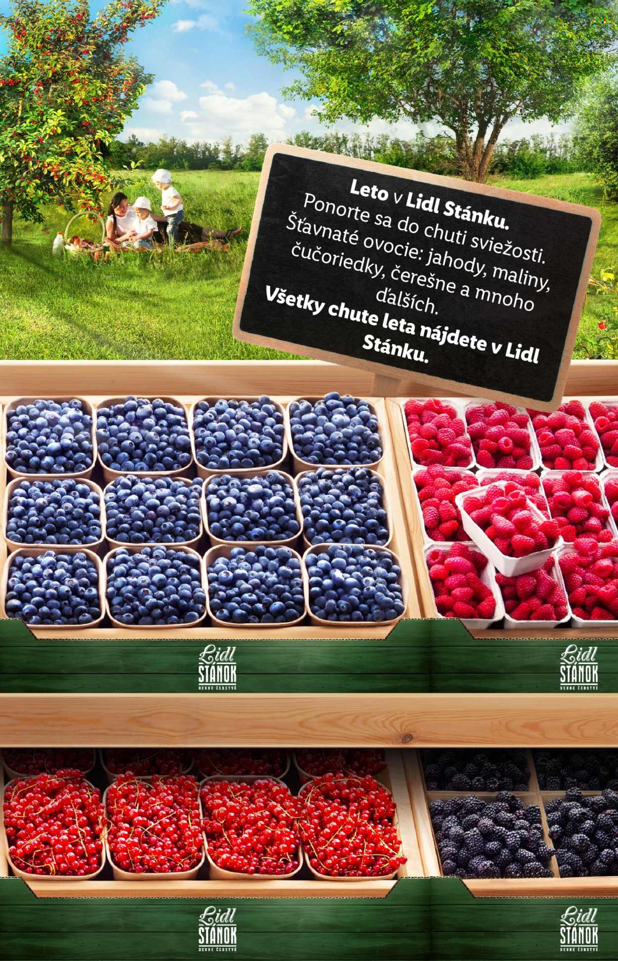 Leták Lidl - 18.7.2024 - 21.7.2024. Strana 15