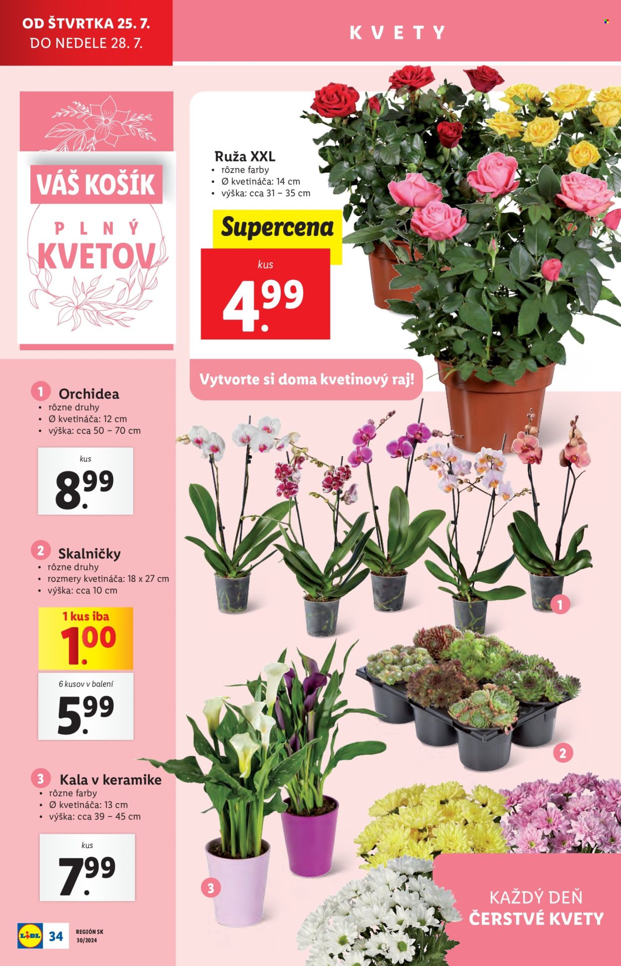 Leták Lidl - 25.7.2024 - 28.7.2024. Strana 36