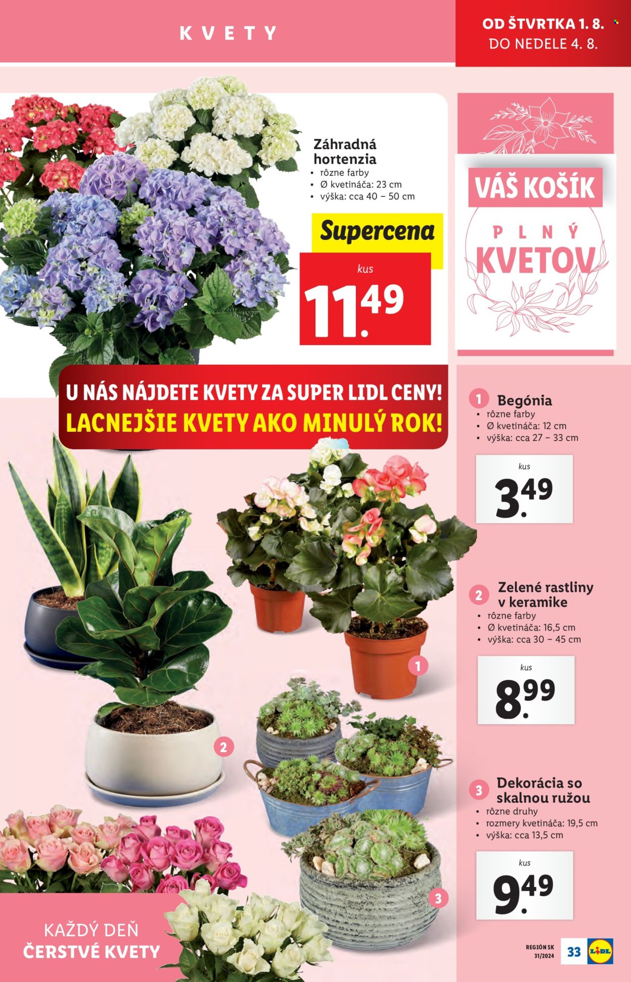 Leták Lidl - 1.8.2024 - 4.8.2024. Strana 35