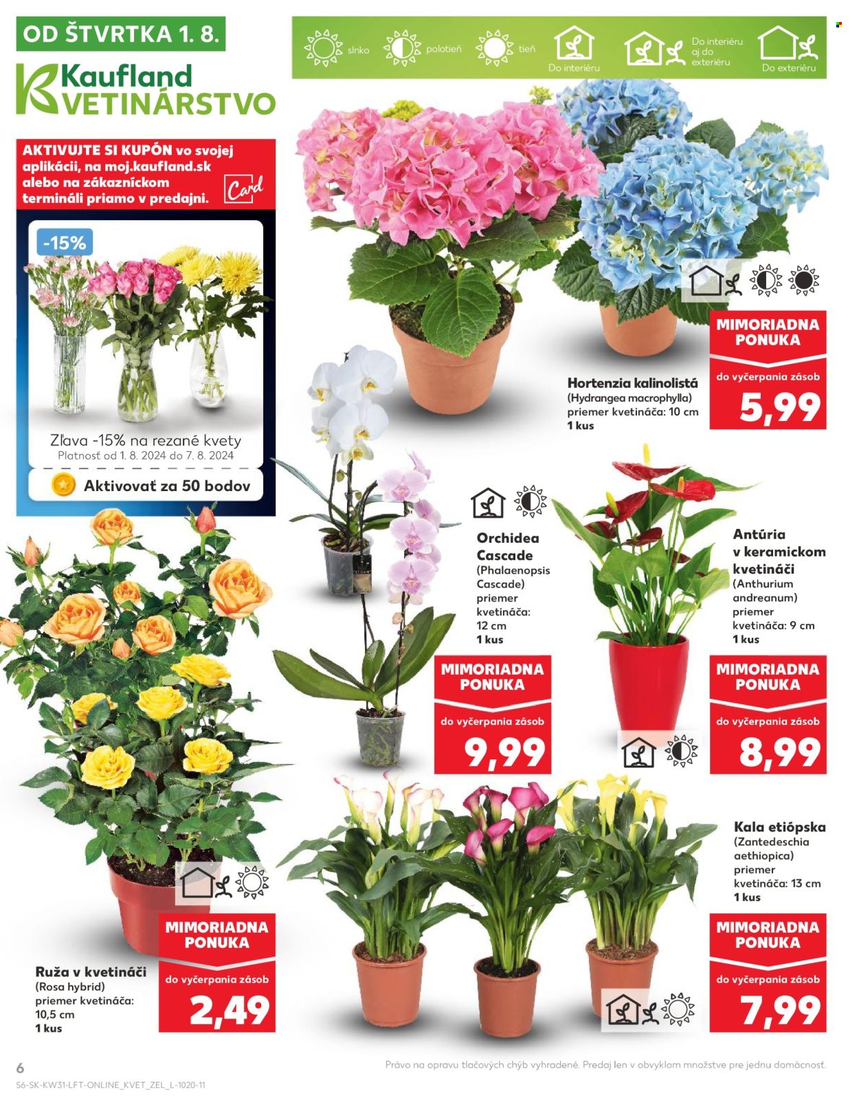 Leták Kaufland - 1.8.2024 - 7.8.2024. Strana 6