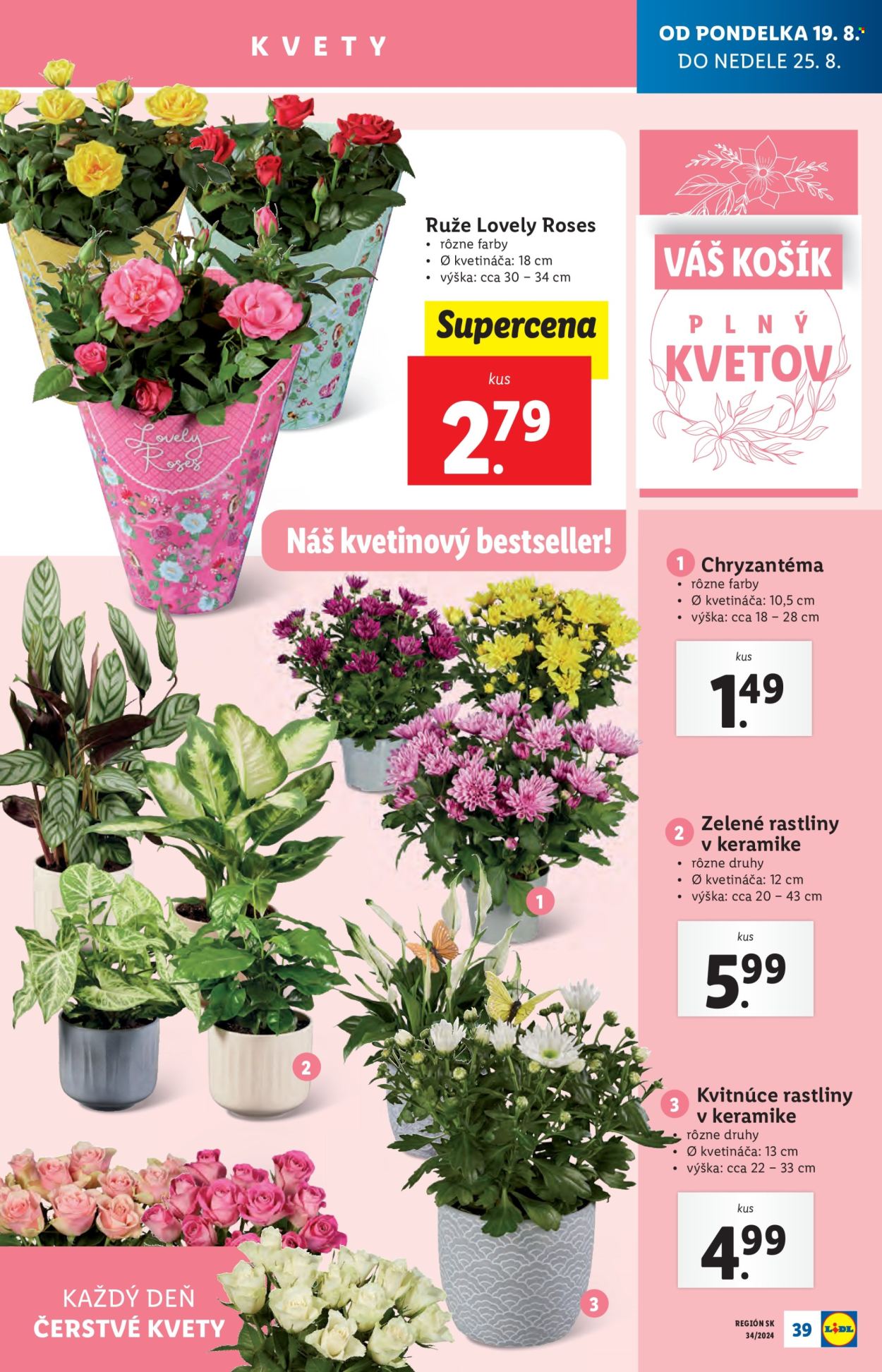 Leták Lidl - 19.8.2024 - 25.8.2024. Strana 39