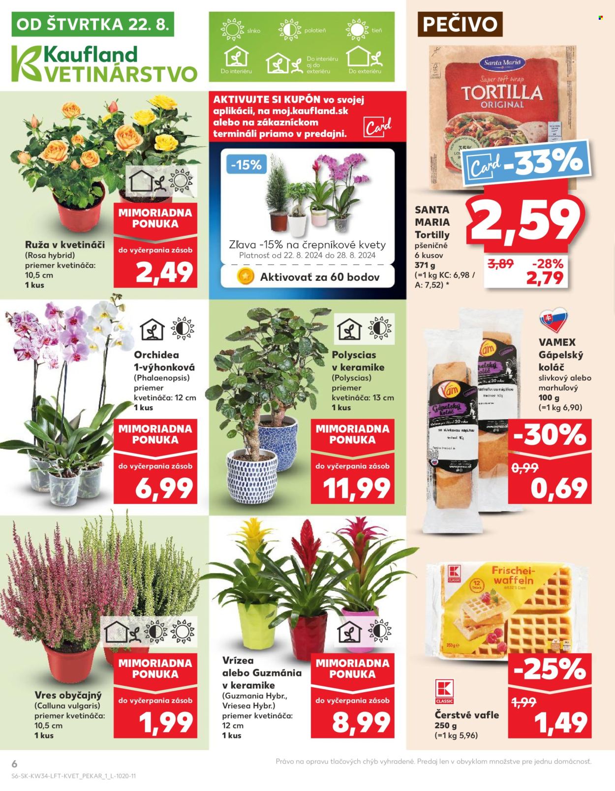 Leták Kaufland - 22.8.2024 - 28.8.2024. Strana 6