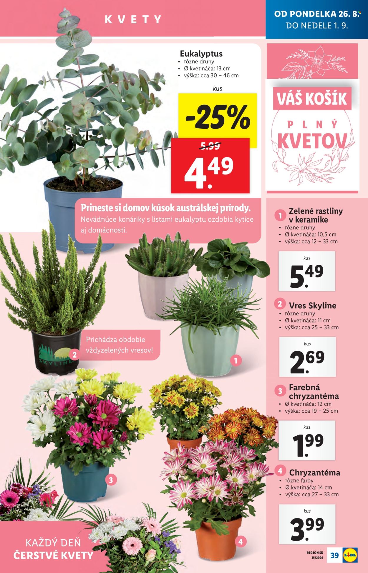 Leták Lidl - 26.8.2024 - 1.9.2024. Strana 40