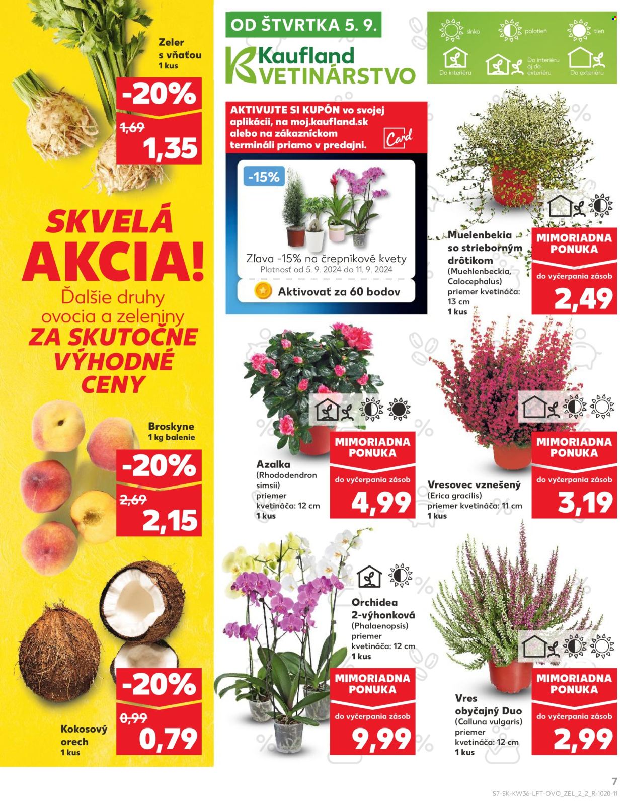 Leták Kaufland - 5.9.2024 - 11.9.2024. Strana 7