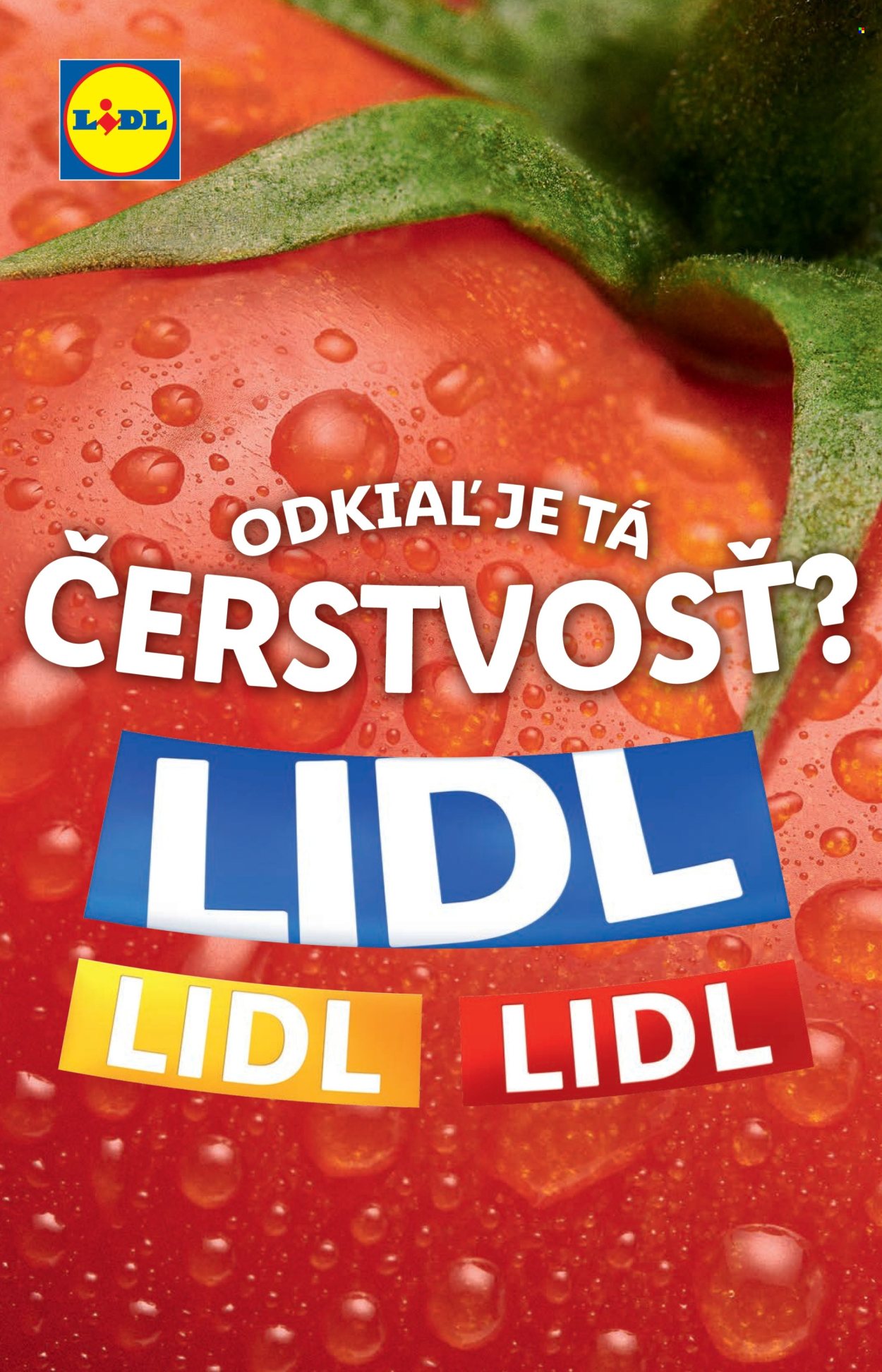 Leták Lidl - 12.9.2024 - 14.9.2024. Strana 13