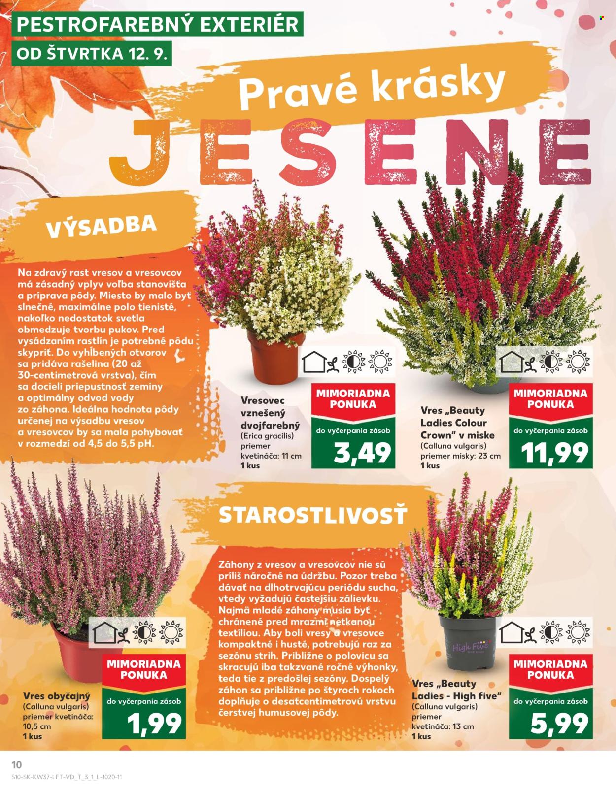 Leták Kaufland - 12.9.2024 - 18.9.2024. Strana 10
