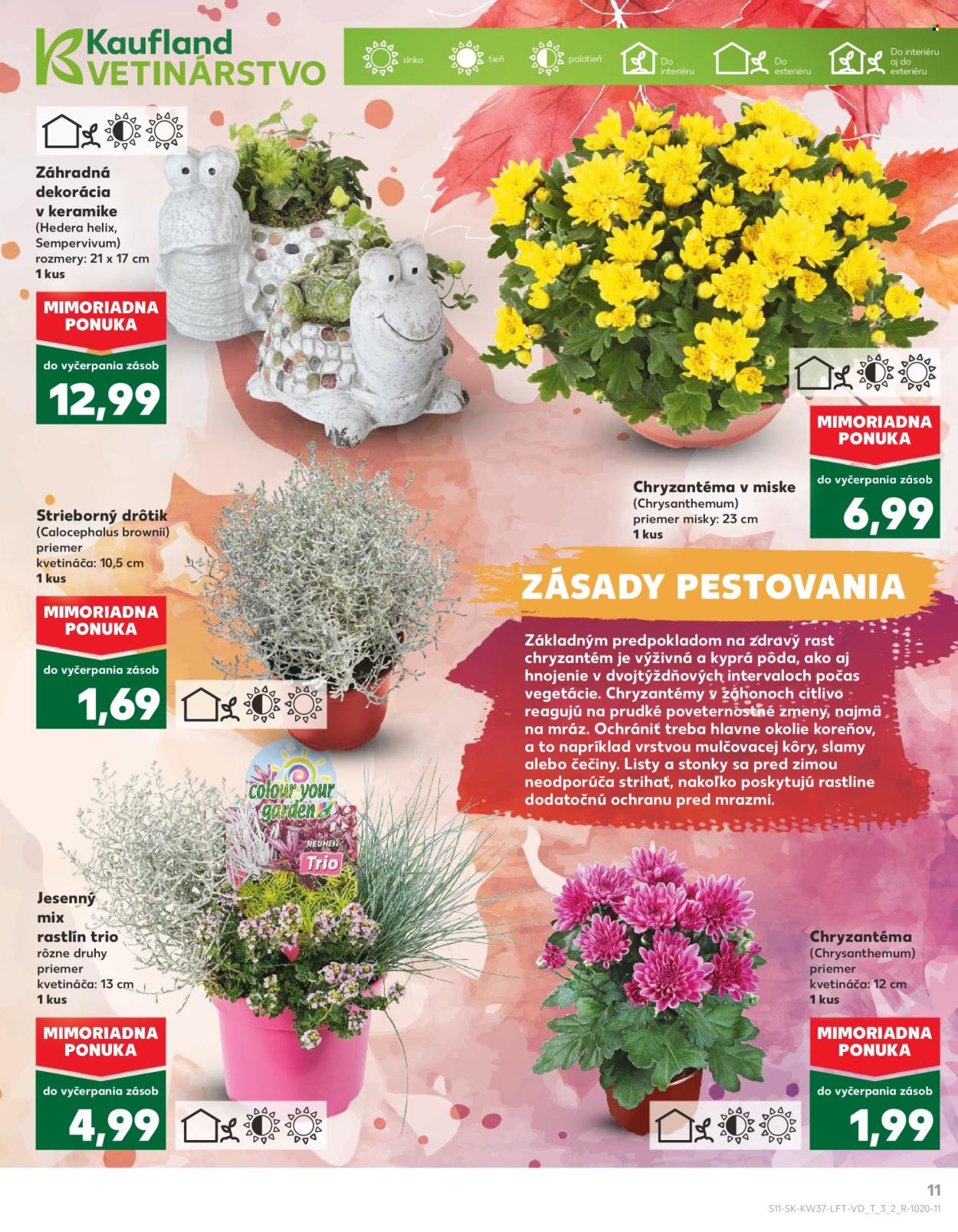 Leták Kaufland - 12.9.2024 - 18.9.2024. Strana 11