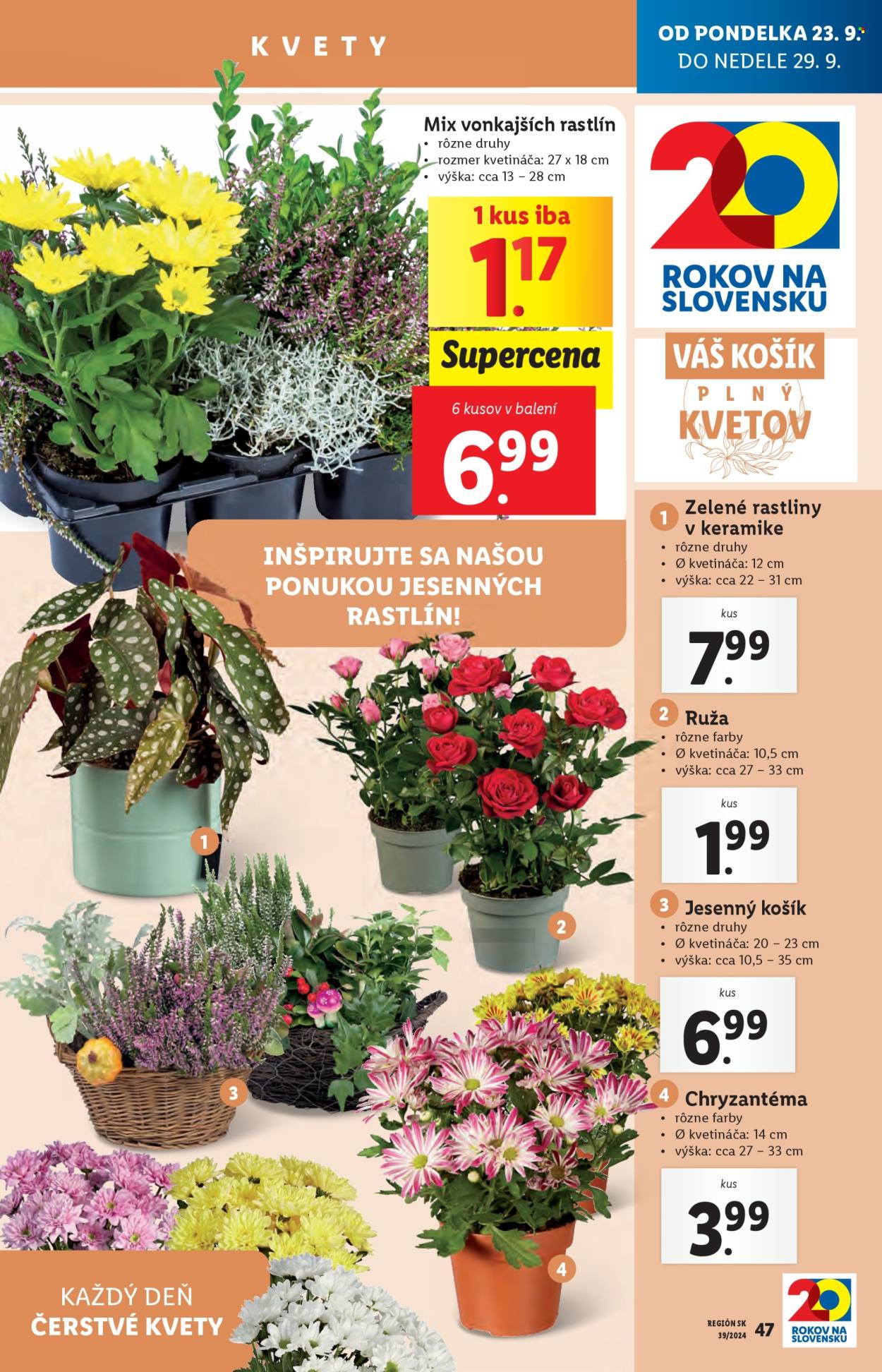 Leták Lidl - 23.9.2024 - 29.9.2024. Strana 56