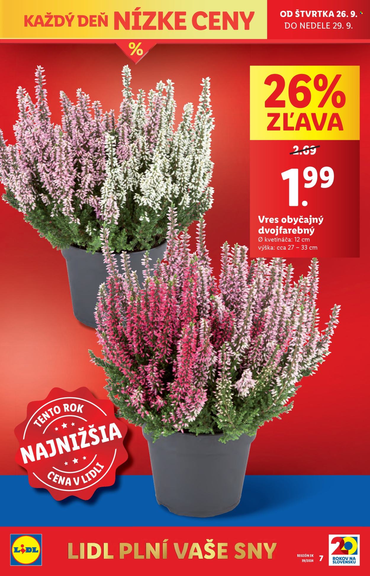 Leták Lidl - 26.9.2024 - 29.9.2024. Strana 13