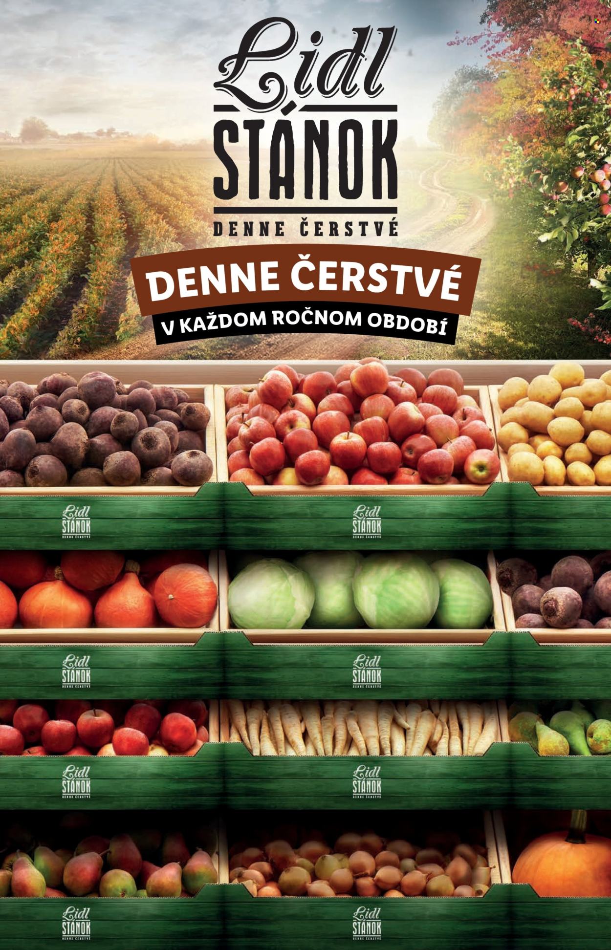 Leták Lidl - 26.9.2024 - 29.9.2024. Strana 23