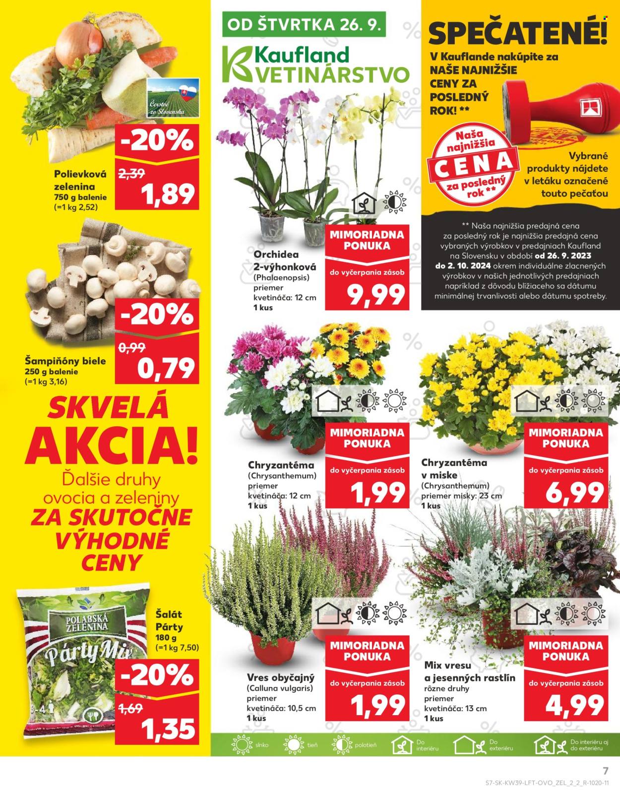 Leták Kaufland - 26.9.2024 - 2.10.2024. Strana 7
