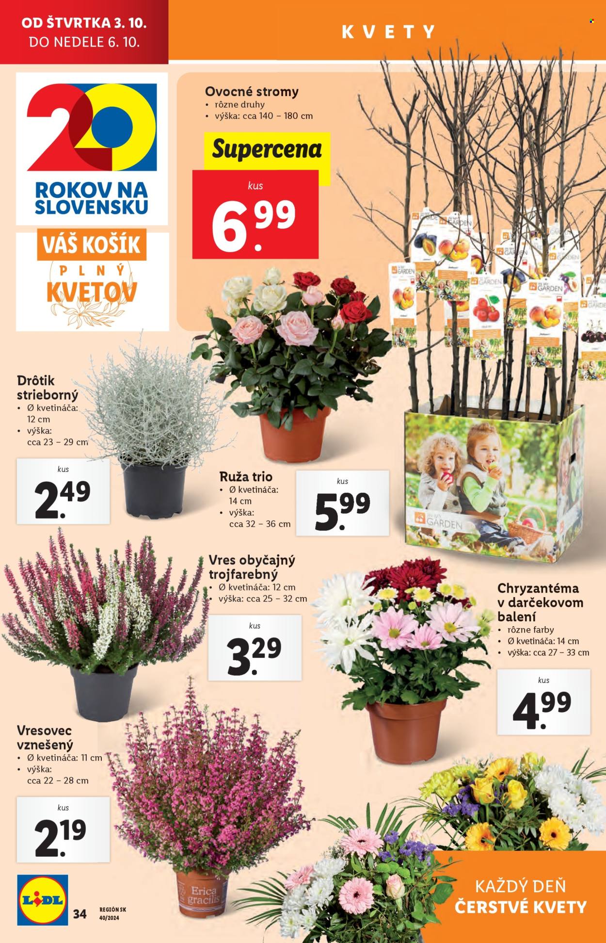 Leták Lidl - 3.10.2024 - 6.10.2024. Strana 42