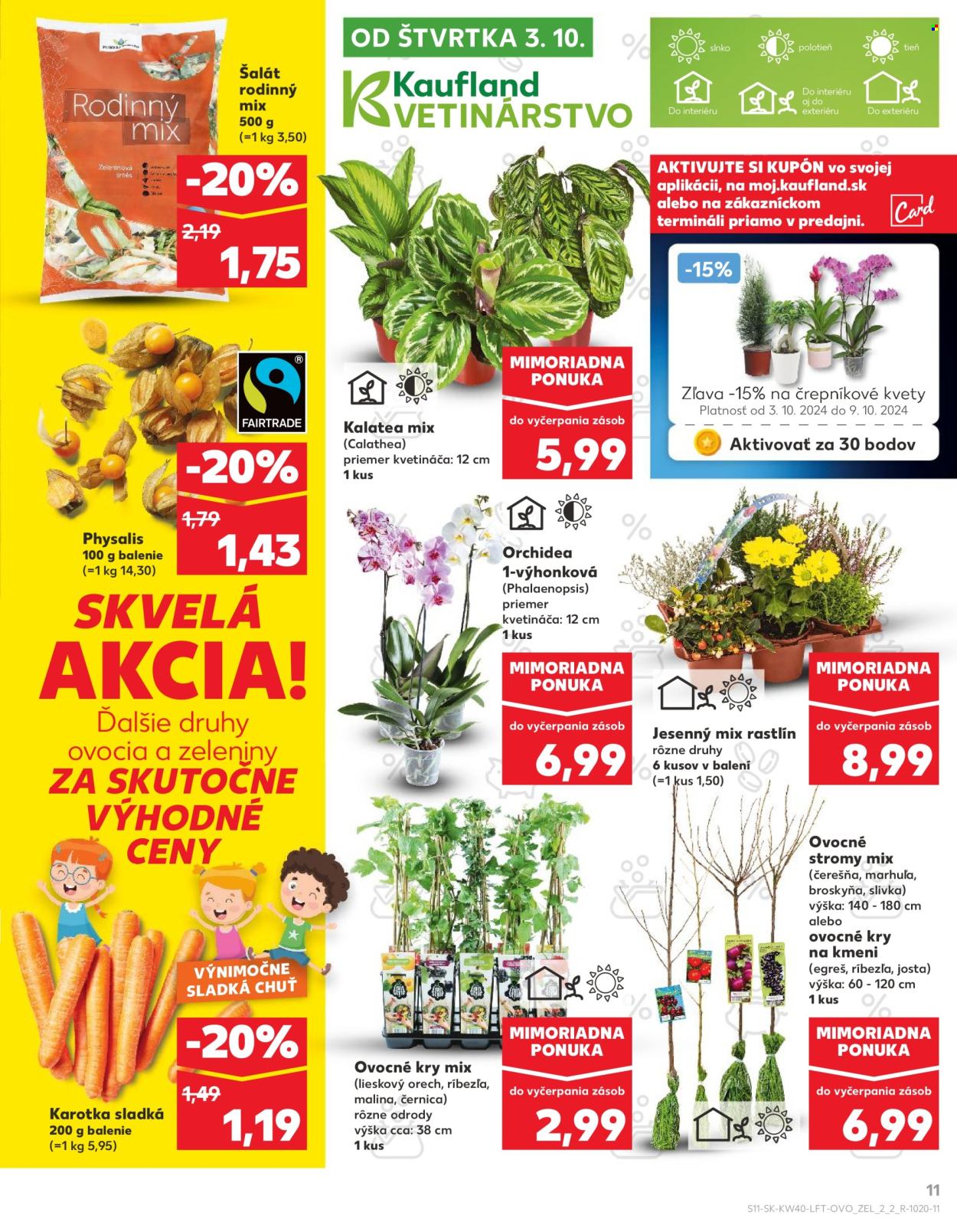 Leták Kaufland - 3.10.2024 - 9.10.2024. Strana 11