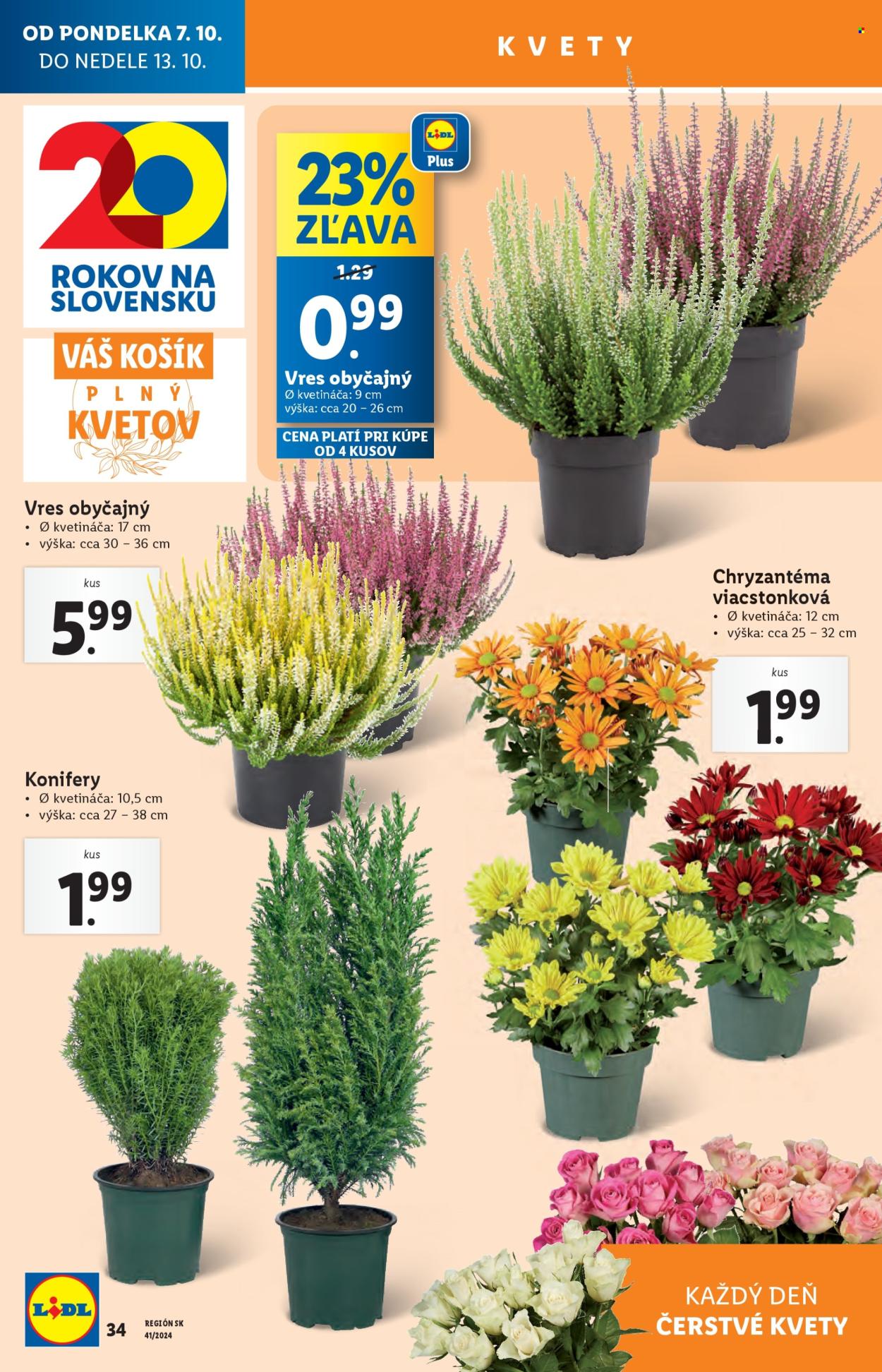Leták Lidl - 7.10.2024 - 13.10.2024. Strana 40