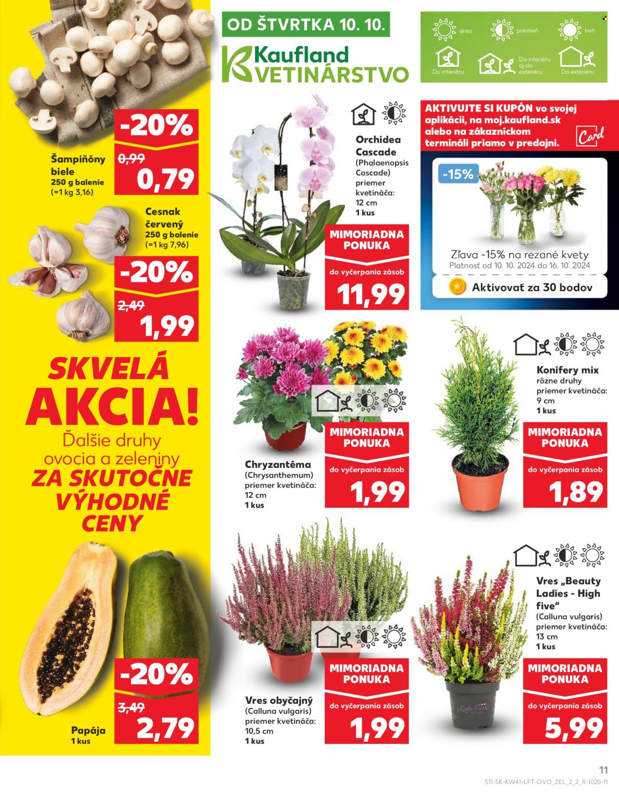 Leták Kaufland - 10.10.2024 - 16.10.2024. Strana 11