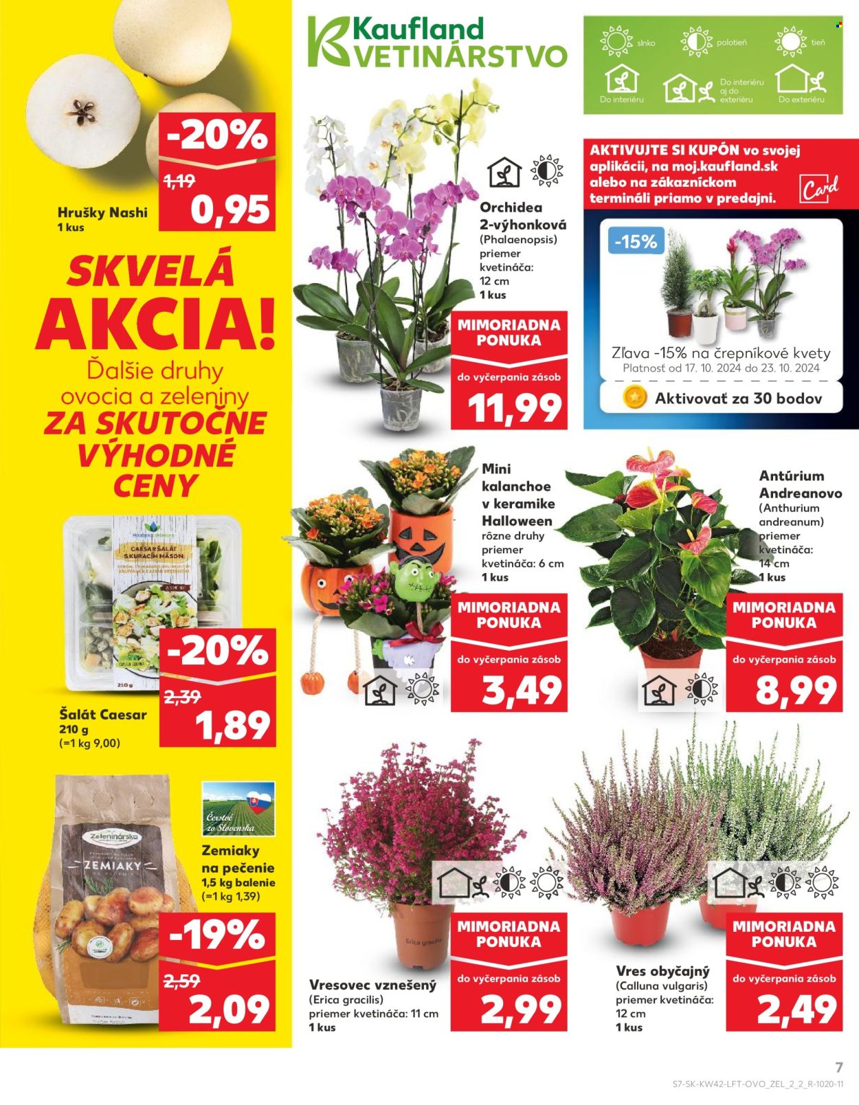 Leták Kaufland - 17.10.2024 - 23.10.2024. Strana 7