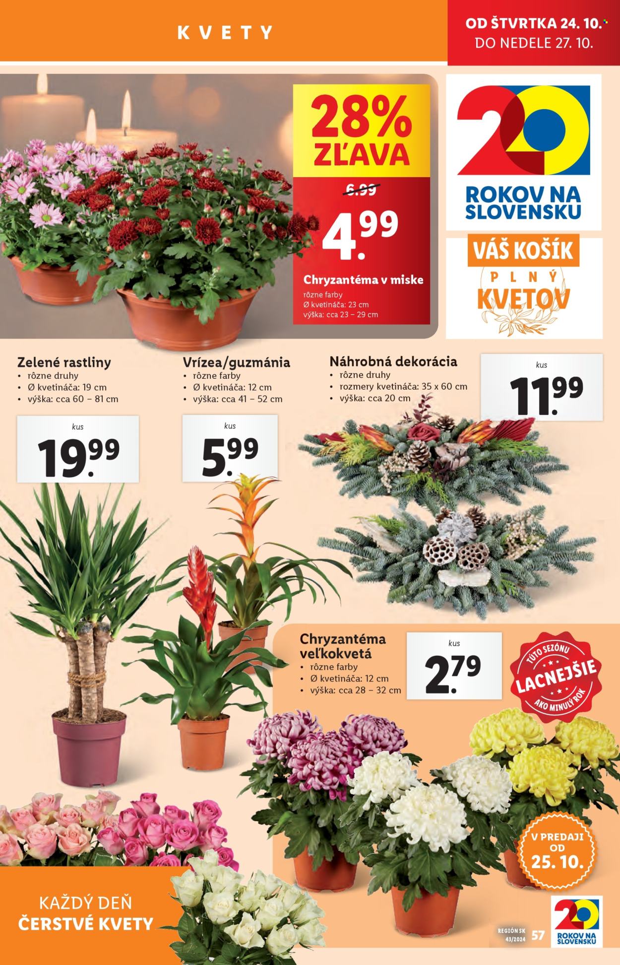 Leták Lidl - 21.10.2024 - 27.10.2024. Strana 69