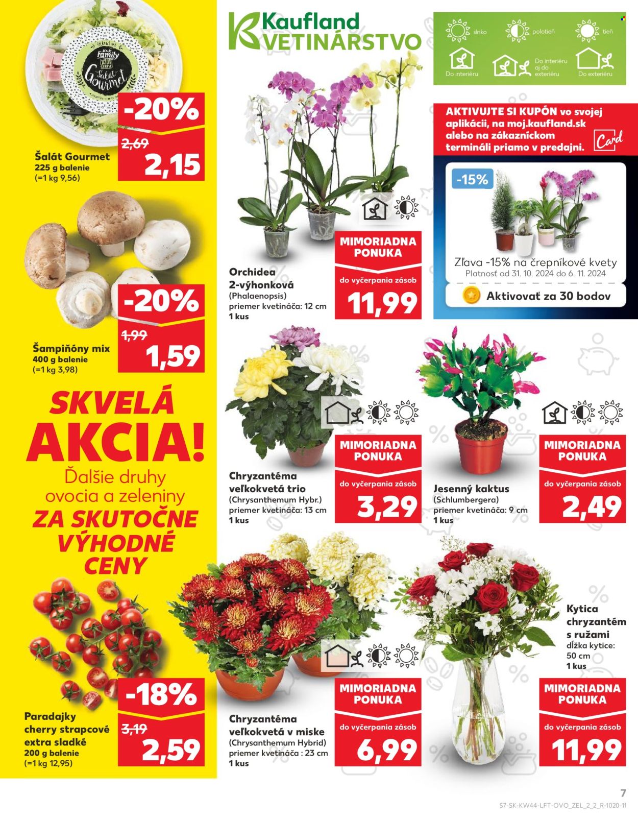 Leták Kaufland - 31.10.2024 - 6.11.2024. Strana 7