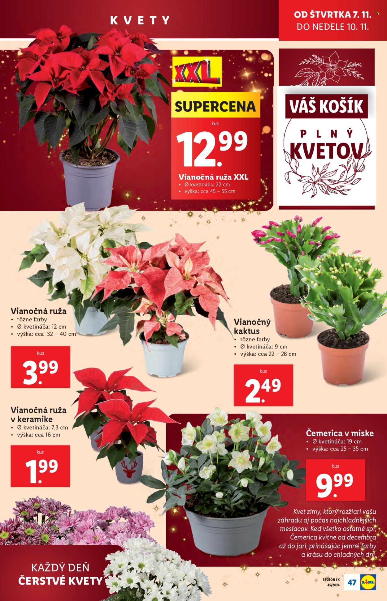 Leták Lidl - 4.11.2024 - 10.11.2024. Strana 53
