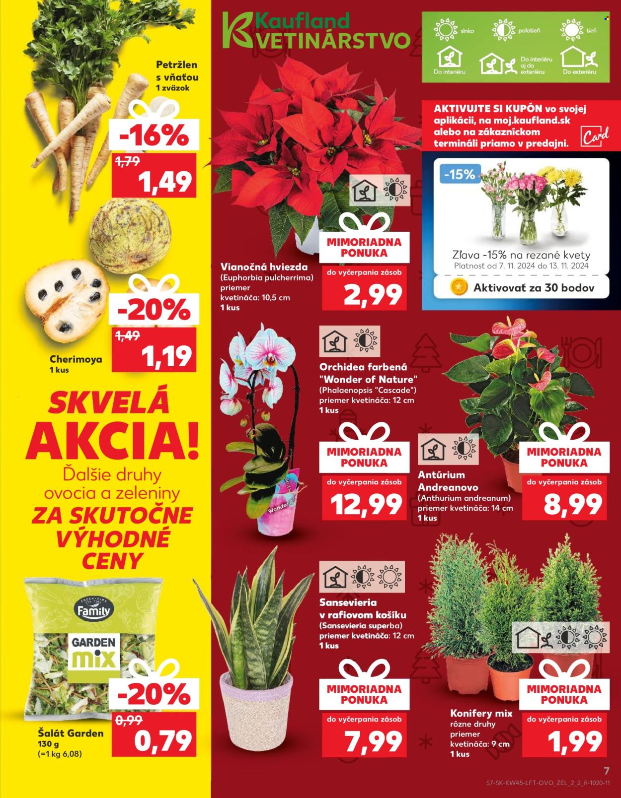 Leták Kaufland - 7.11.2024 - 13.11.2024. Strana 7