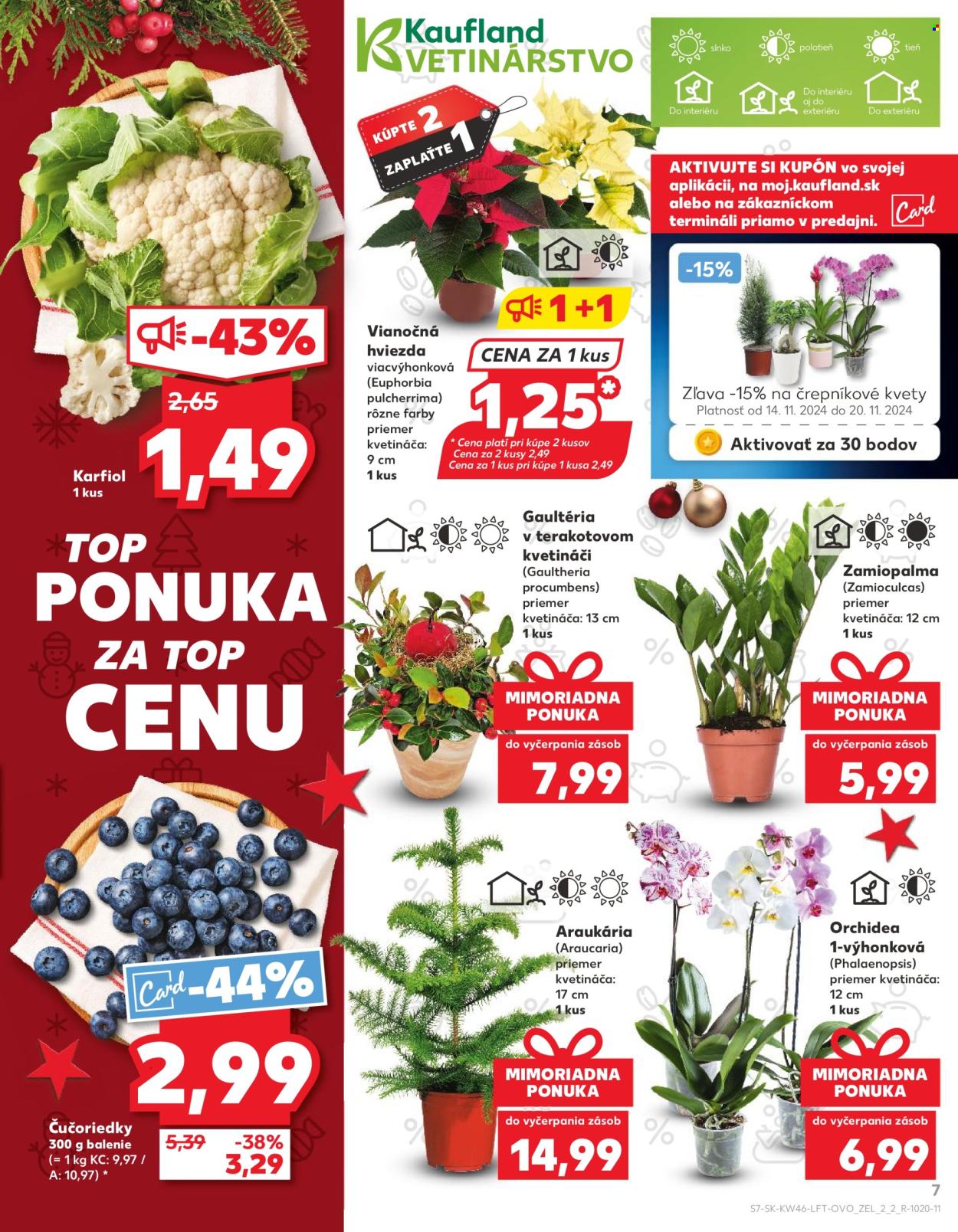 Leták Kaufland - 14.11.2024 - 20.11.2024. Strana 7