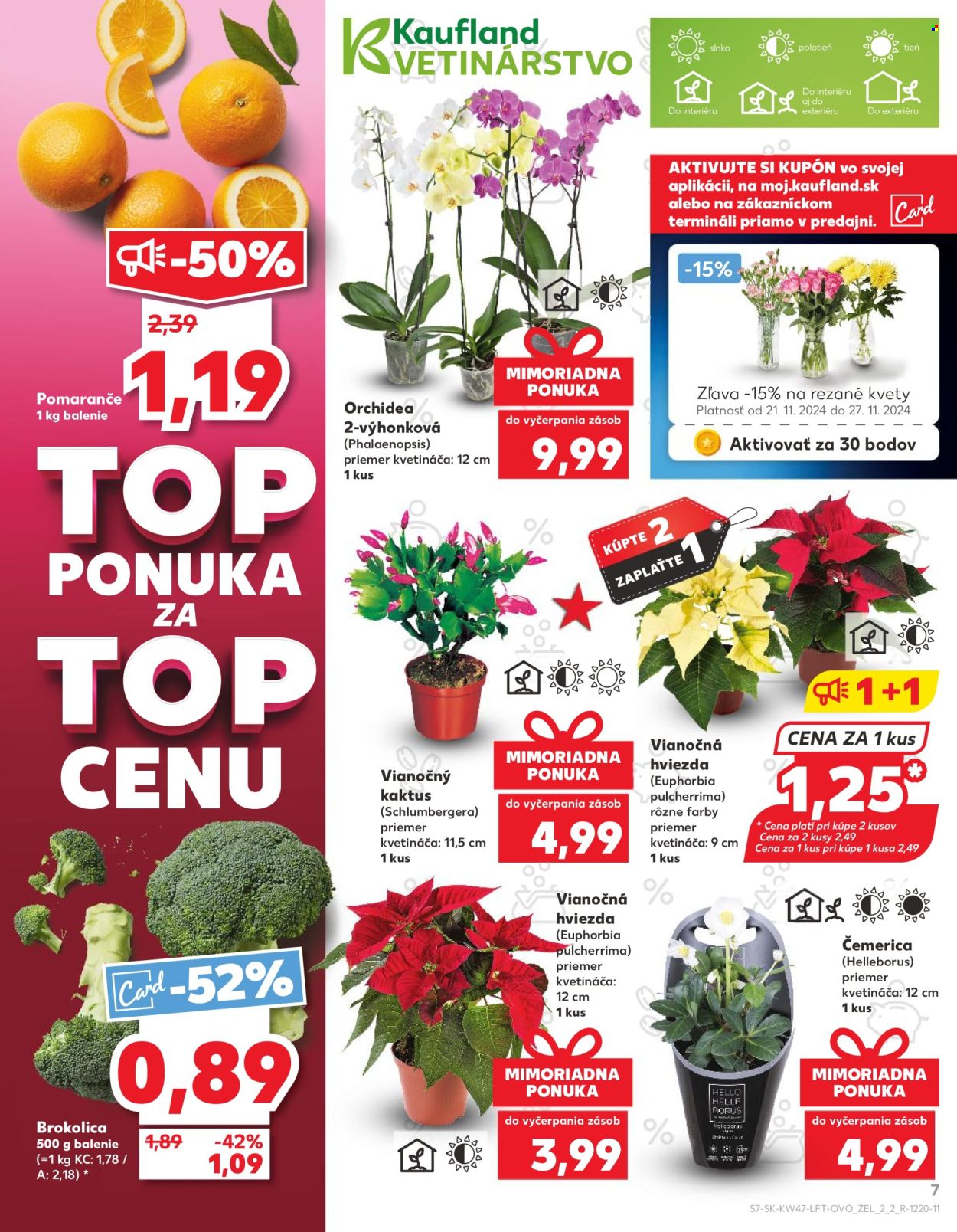 Leták Kaufland - 21.11.2024 - 27.11.2024. Strana 7