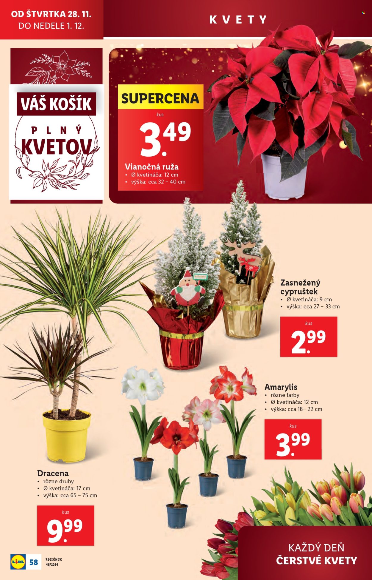 Leták Lidl - 25.11.2024 - 1.12.2024. Strana 70