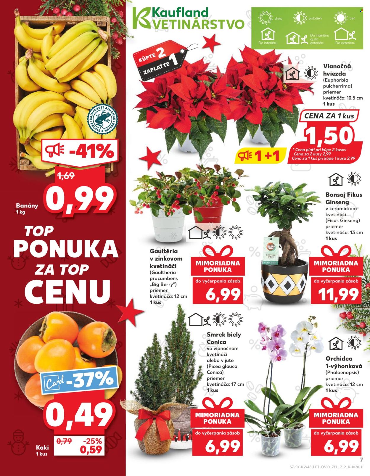 Leták Kaufland - 28.11.2024 - 4.12.2024. Strana 7