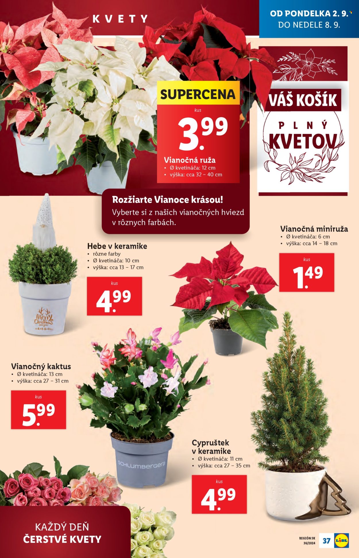 Leták Lidl - 2.12.2024 - 8.12.2024. Strana 41