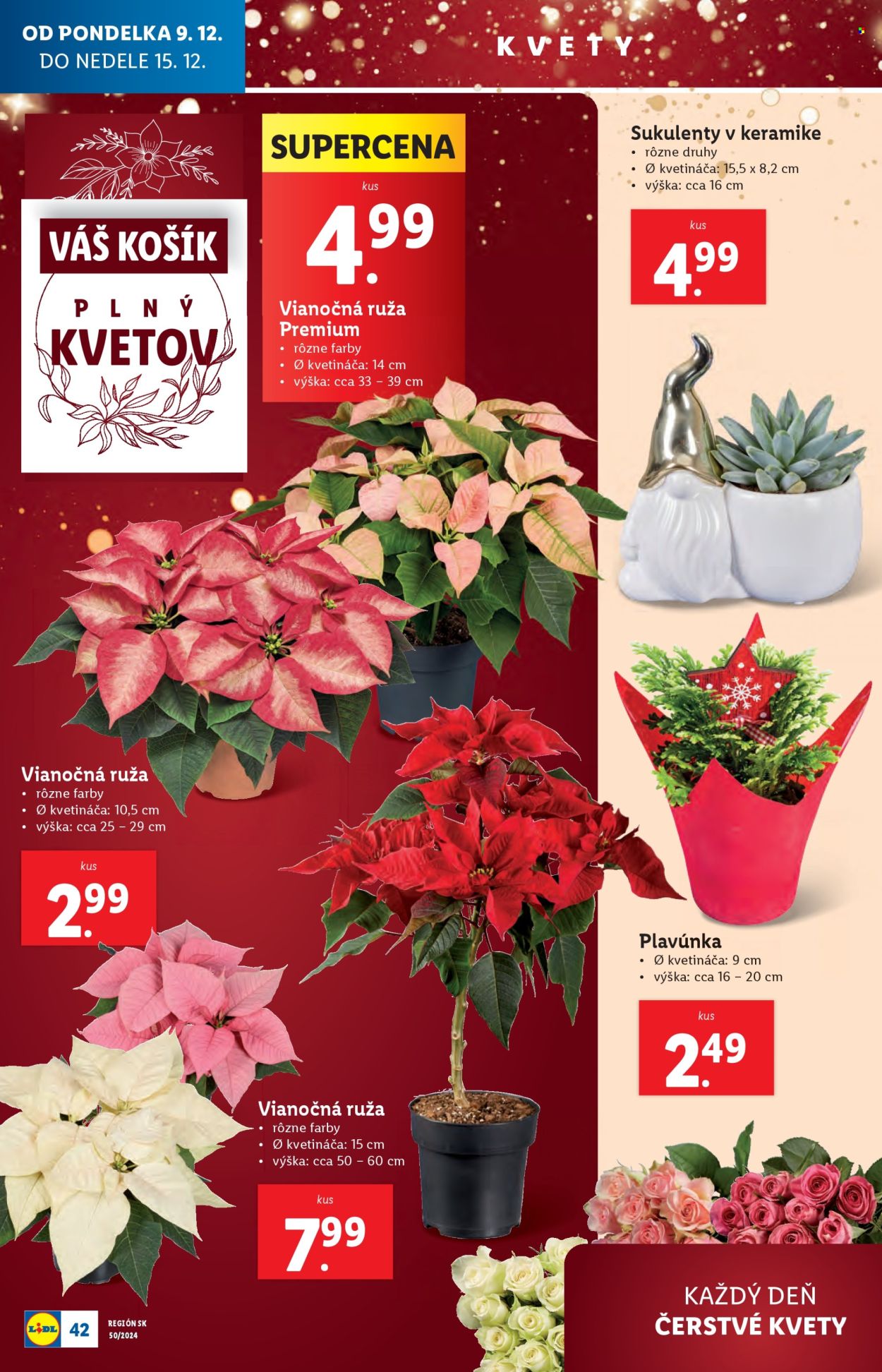 Leták Lidl - 9.12.2024 - 15.12.2024. Strana 48