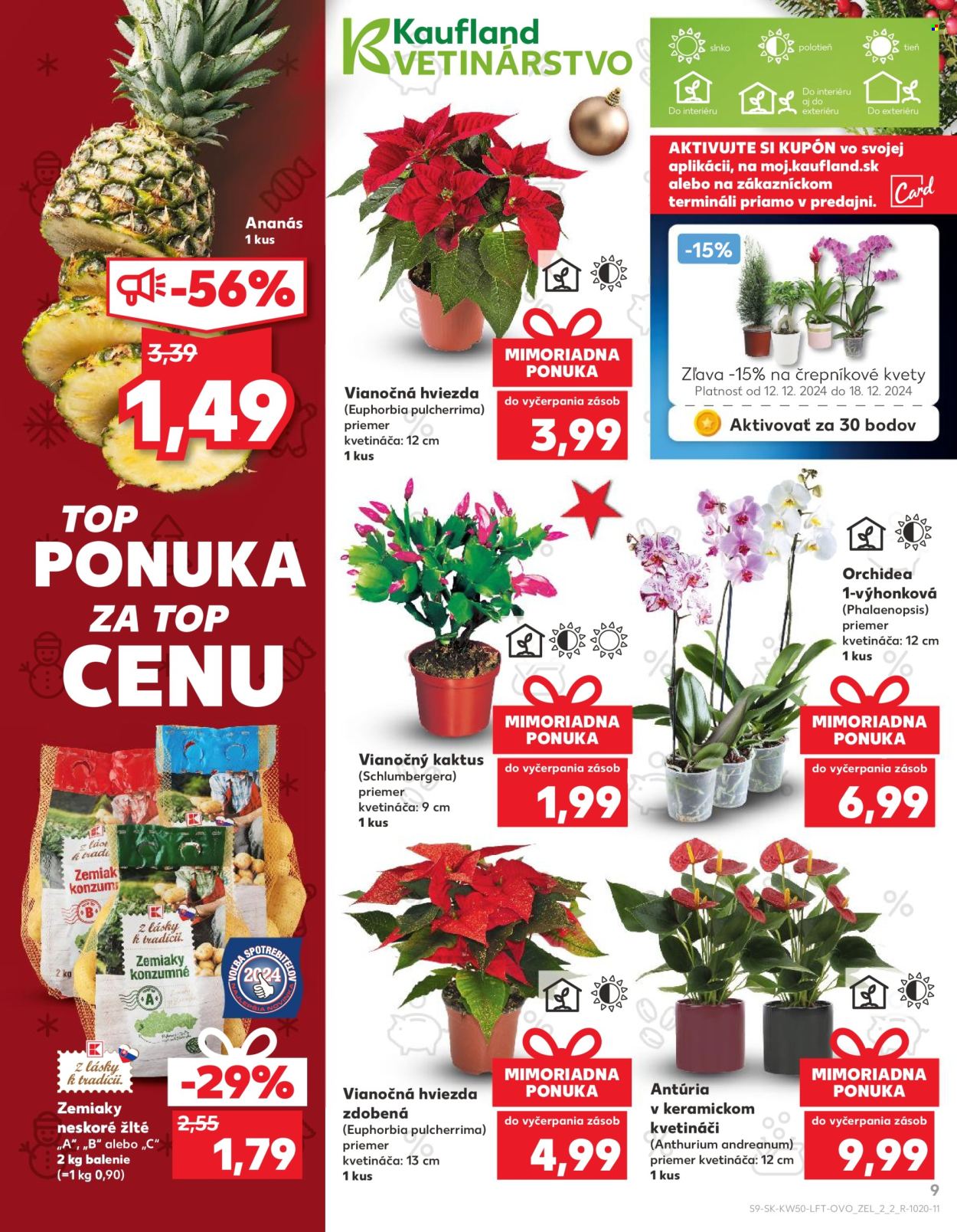 Leták Kaufland - 12.12.2024 - 18.12.2024. Strana 9