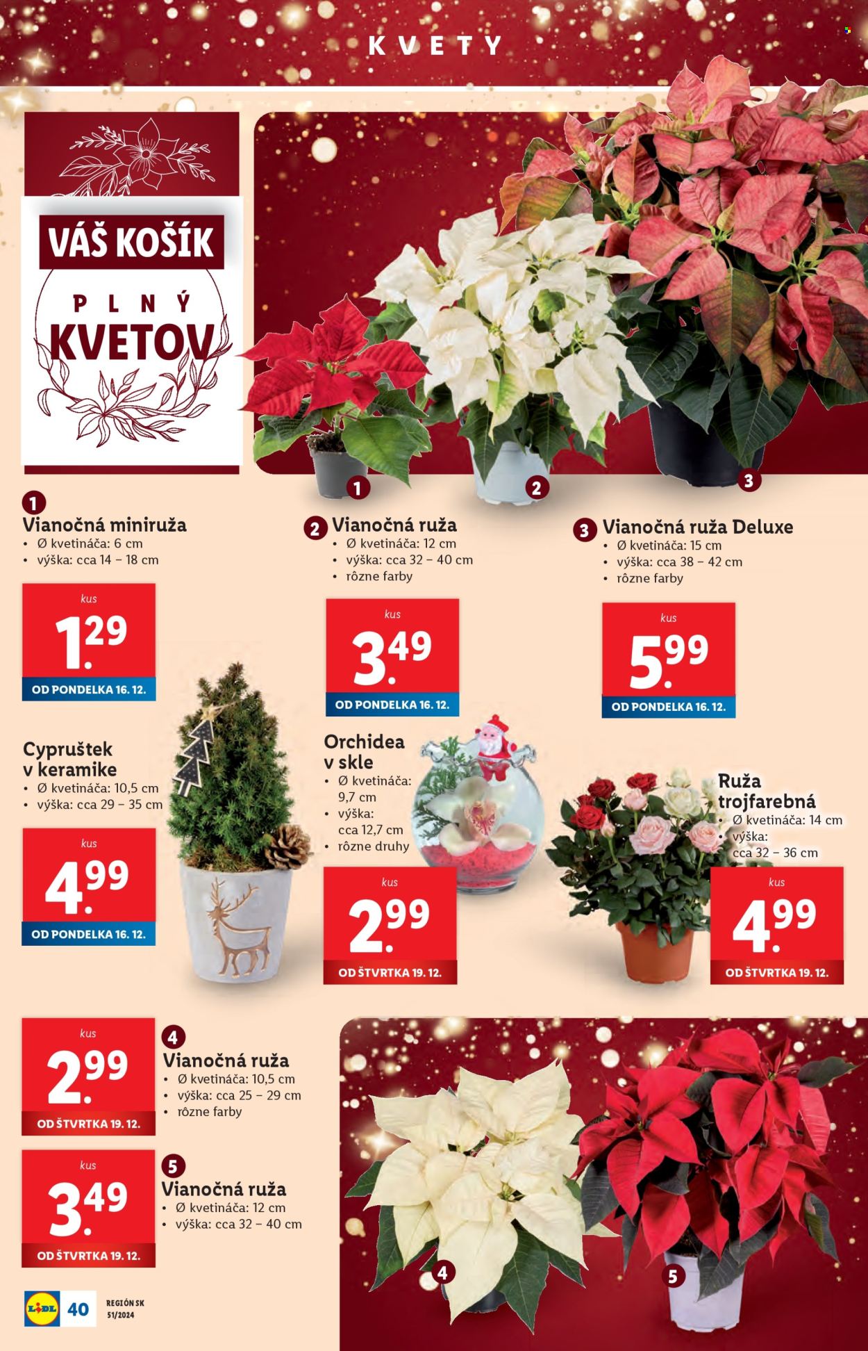 Leták Lidl - 16.12.2024 - 24.12.2024. Strana 44
