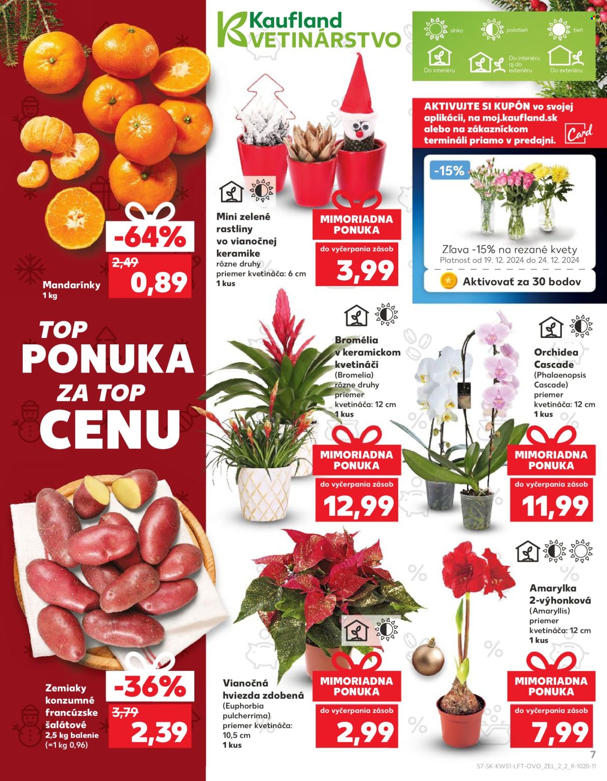 Leták Kaufland - 18.12.2024 - 24.12.2024. Strana 7