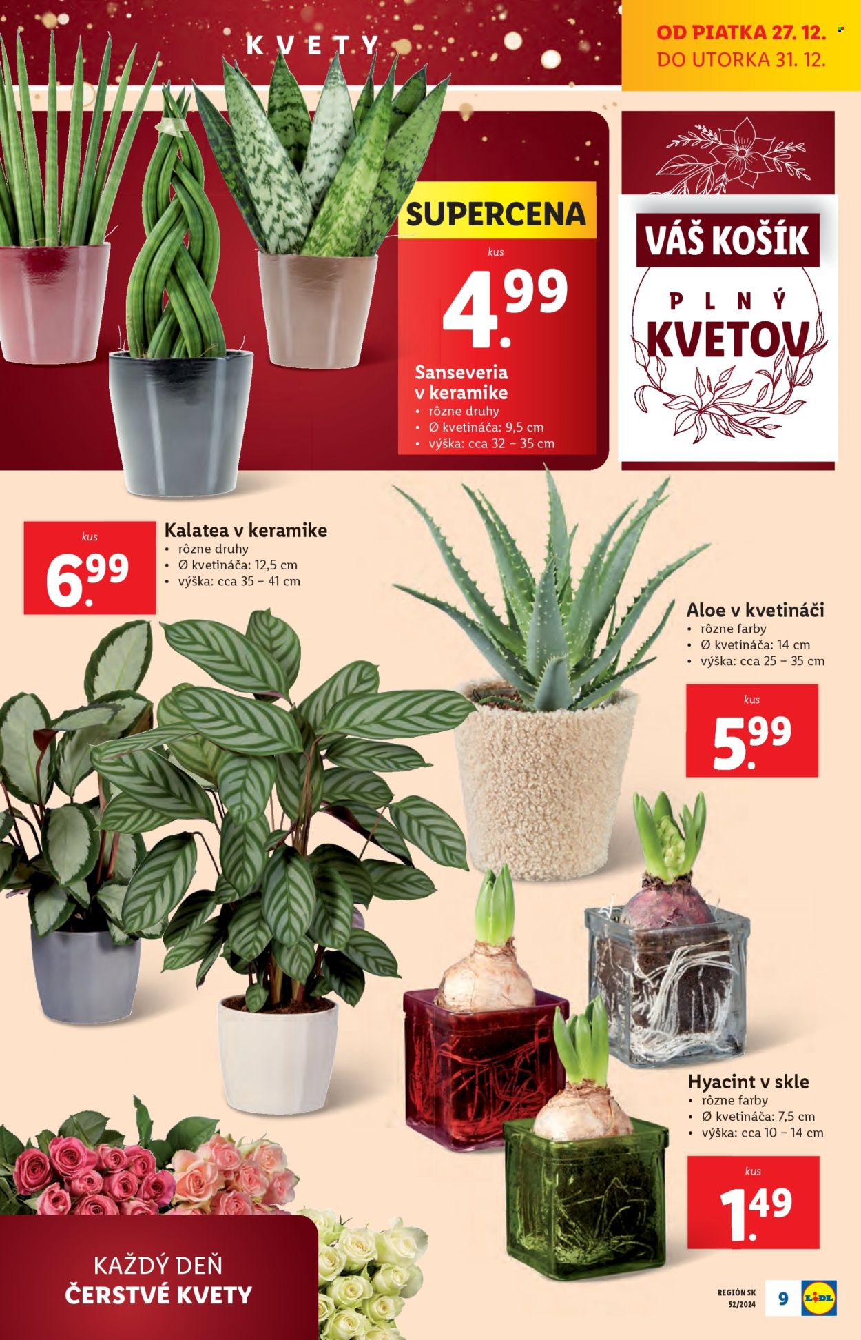 Leták Lidl - 27.12.2024 - 31.12.2024. Strana 15