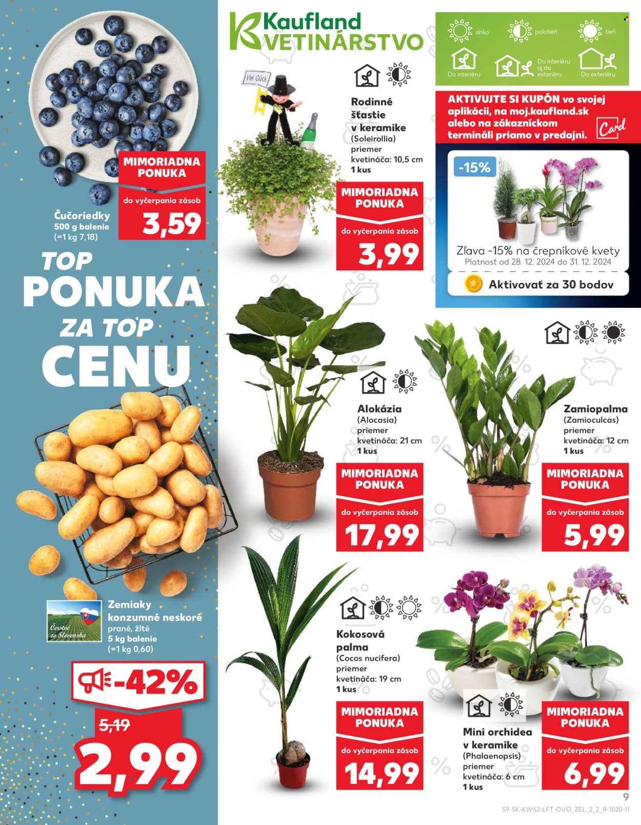 Leták Kaufland - 28.12.2024 - 31.12.2024. Strana 9