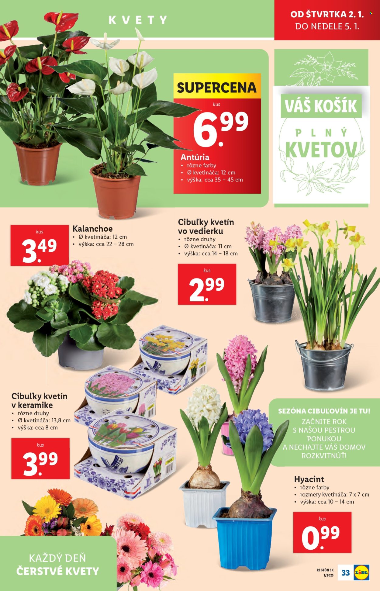 Leták Lidl - 2.1.2025 - 5.1.2025. Strana 33