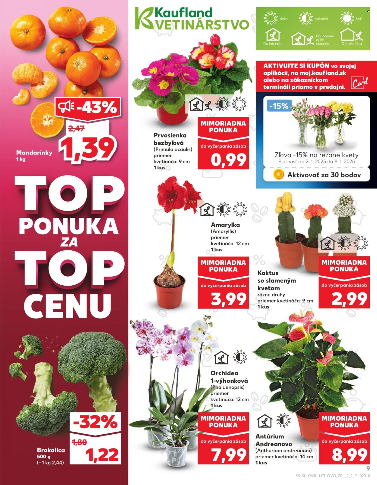 Leták Kaufland - 2.1.2025 - 8.1.2025. Strana 9