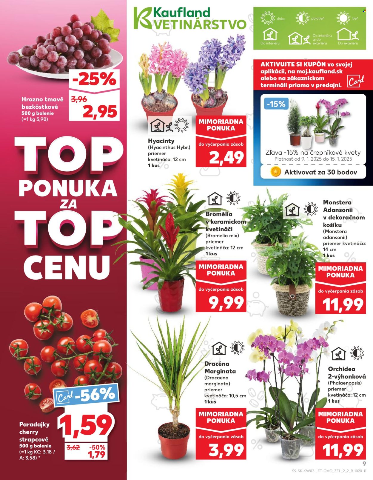 Leták Kaufland - 9.1.2025 - 15.1.2025. Strana 9