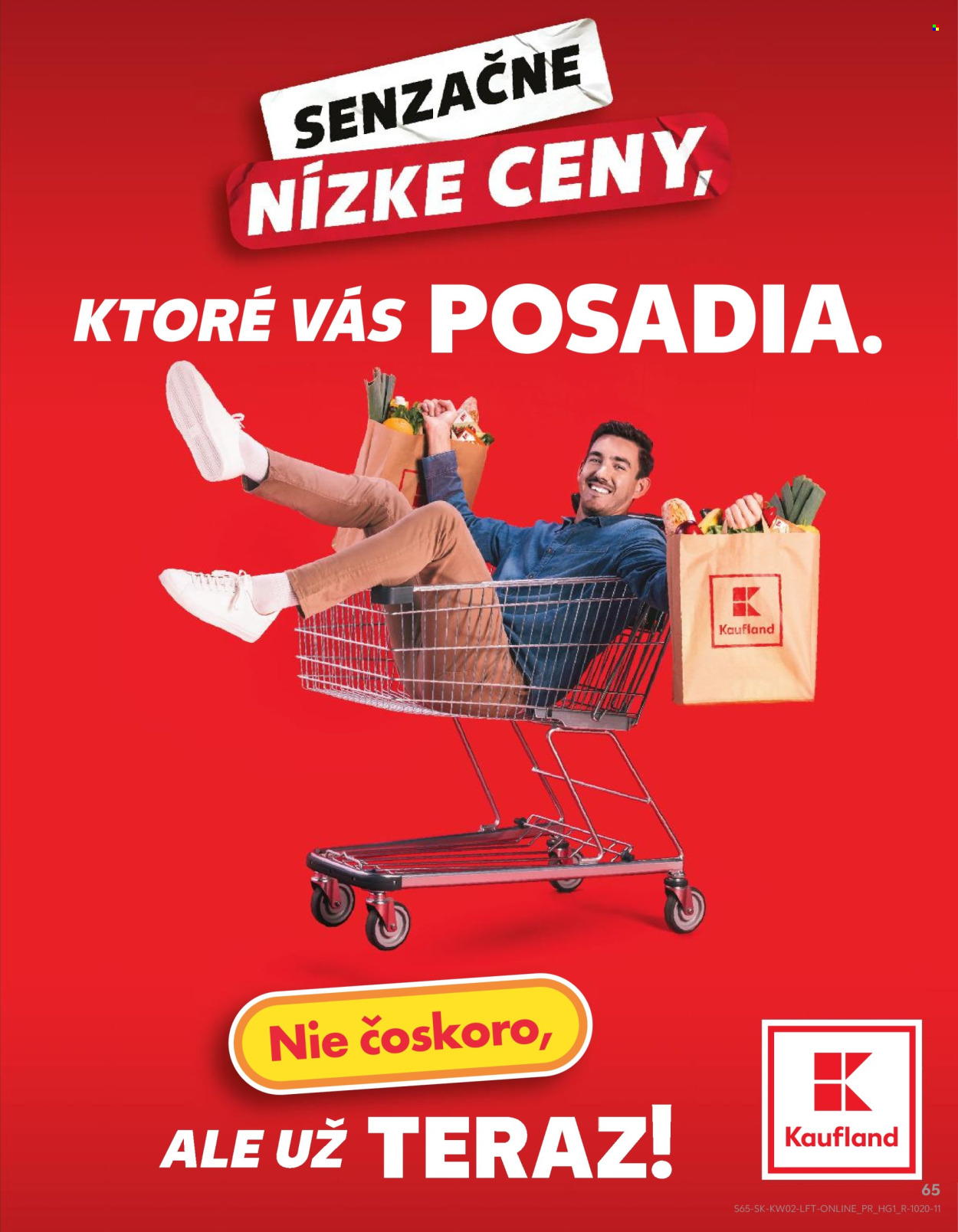 Leták Kaufland - 9.1.2025 - 15.1.2025. Strana 65