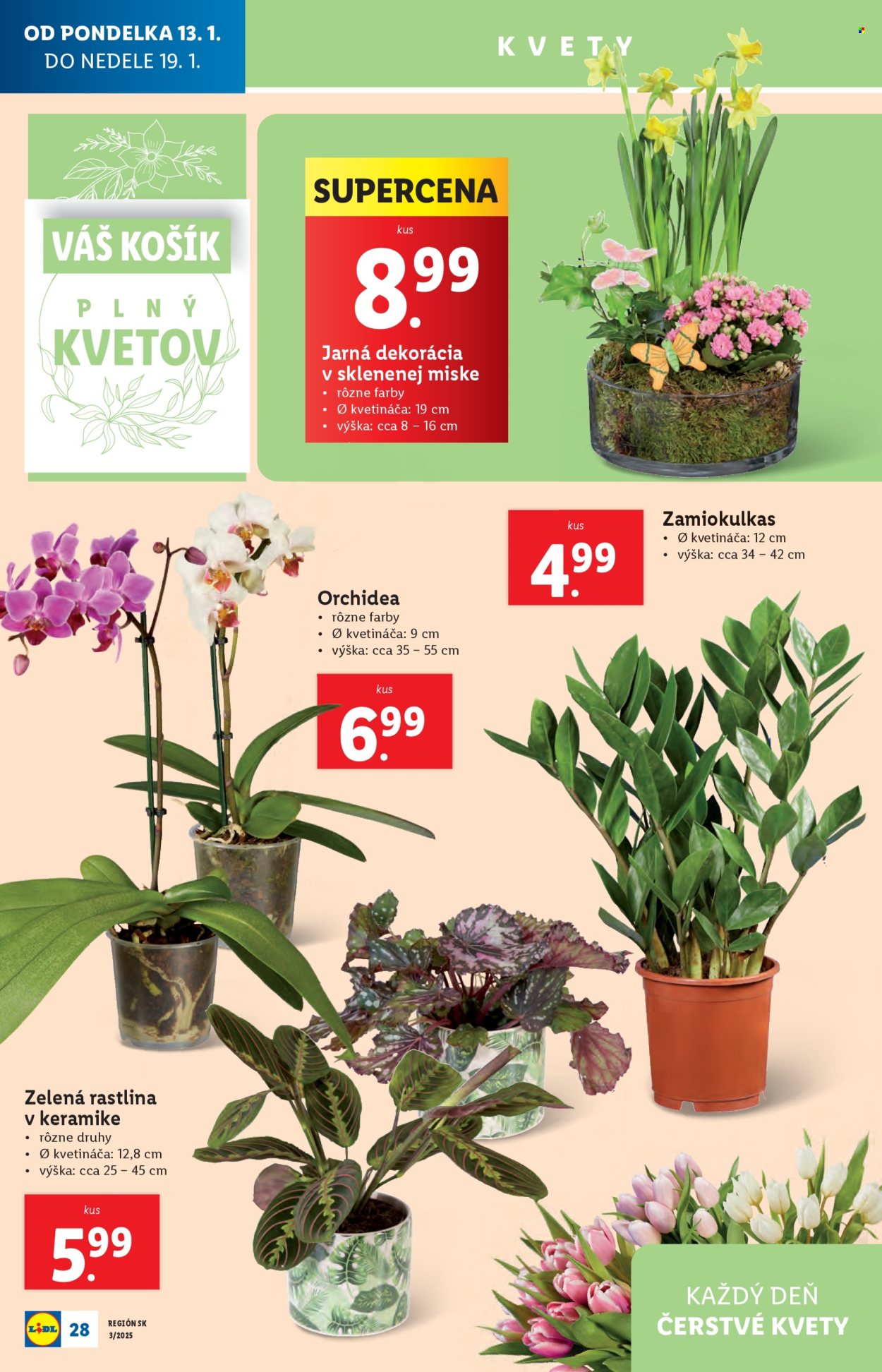Leták Lidl - 13.1.2025 - 19.1.2025. Strana 30