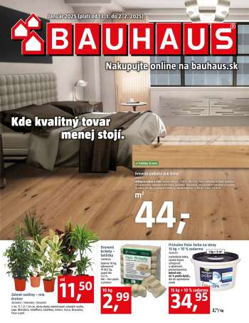 Leták Bauhaus - 13.1.2025 - 2.2.2025.