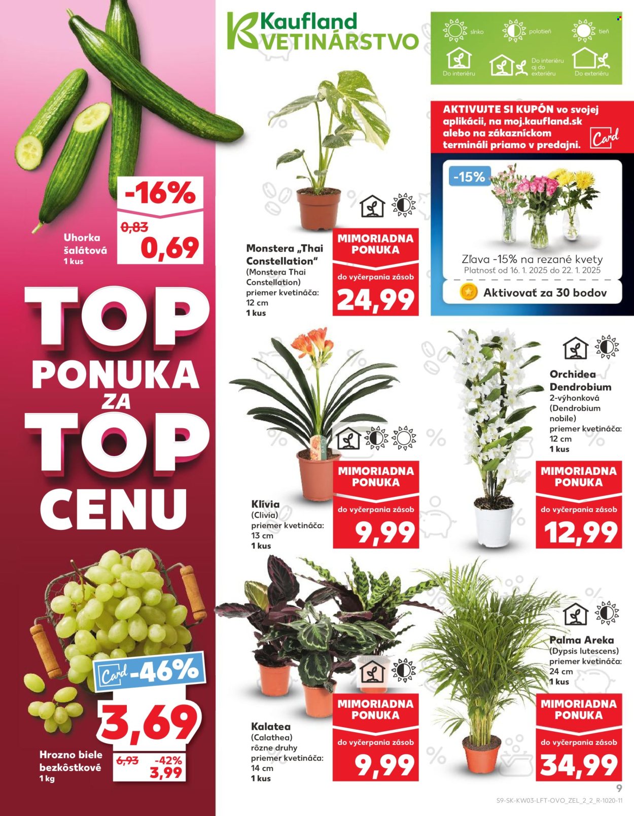 Leták Kaufland - 16.1.2025 - 22.1.2025. Strana 9