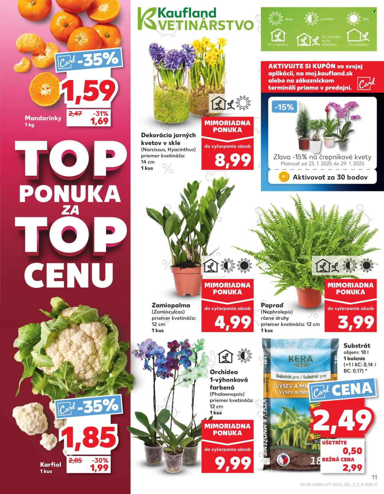 Leták Kaufland - 23.1.2025 - 29.1.2025. Strana 11