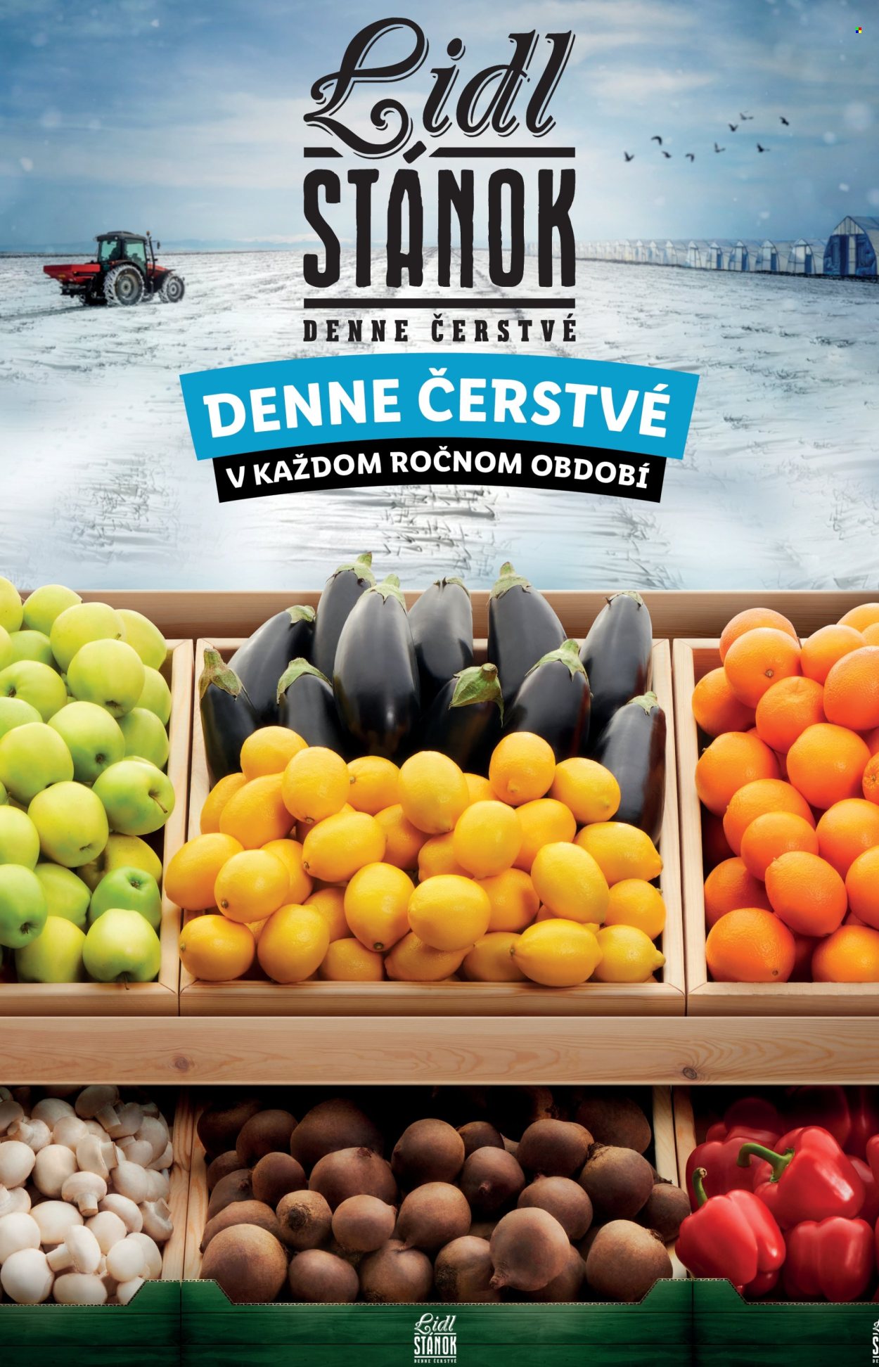 Leták Lidl - 27.1.2025 - 2.2.2025. Strana 43