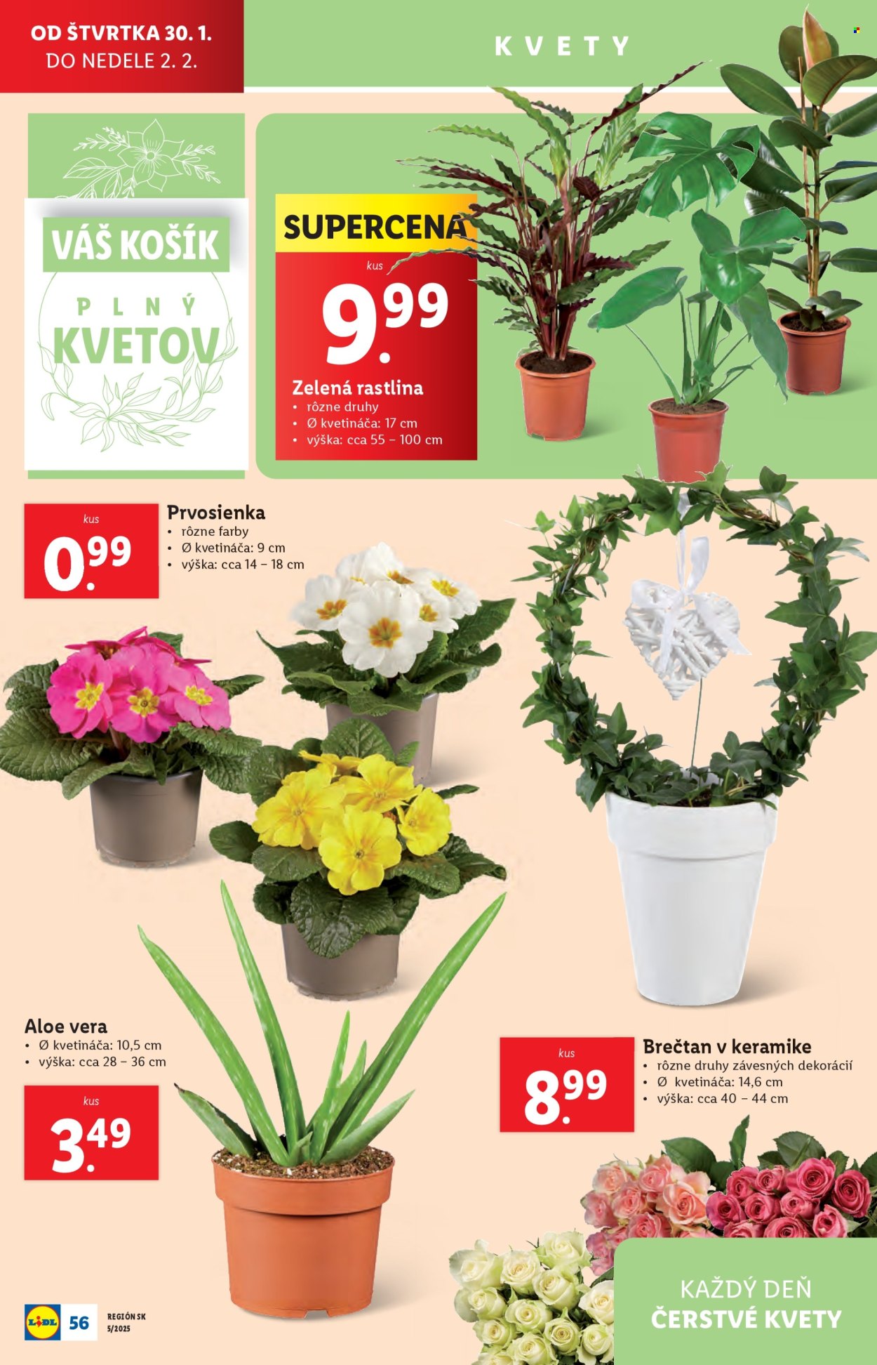Leták Lidl - 27.1.2025 - 2.2.2025. Strana 62