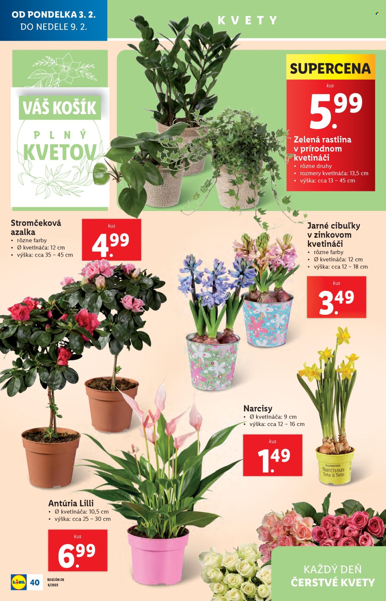 Leták Lidl - 3.2.2025 - 9.2.2025. Strana 47